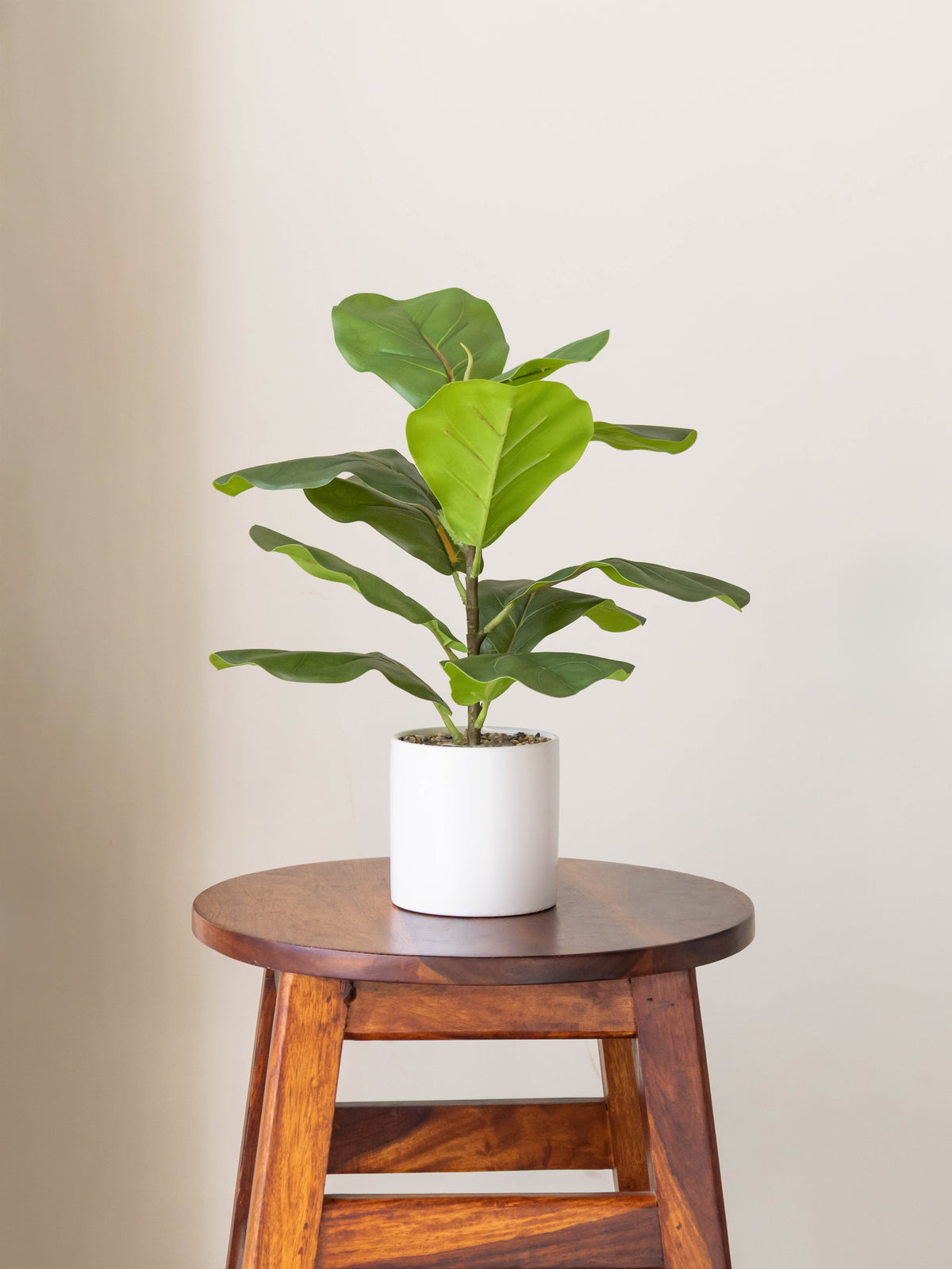 Artificial Fiddle Leaf Table Accent 1ft