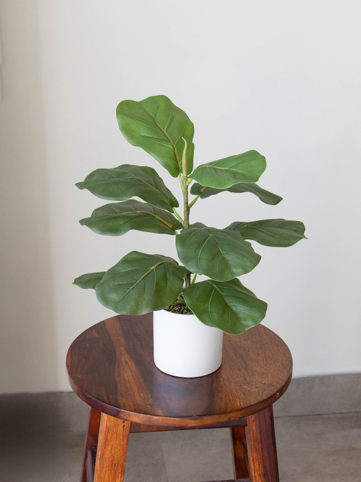 Artificial Fiddle Leaf Table Accent 1ft