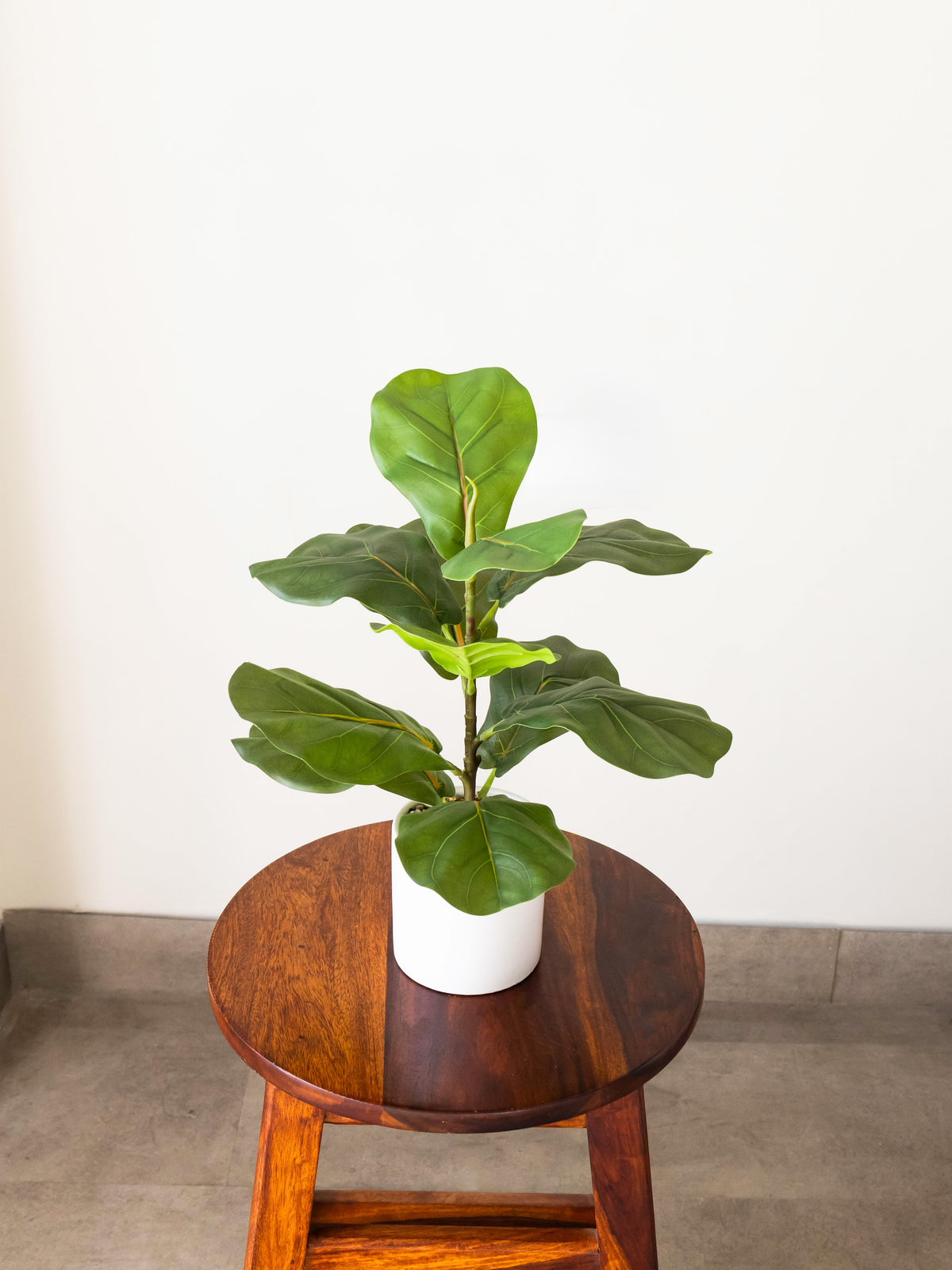 Artificial Fiddle Leaf Table Accent 1ft