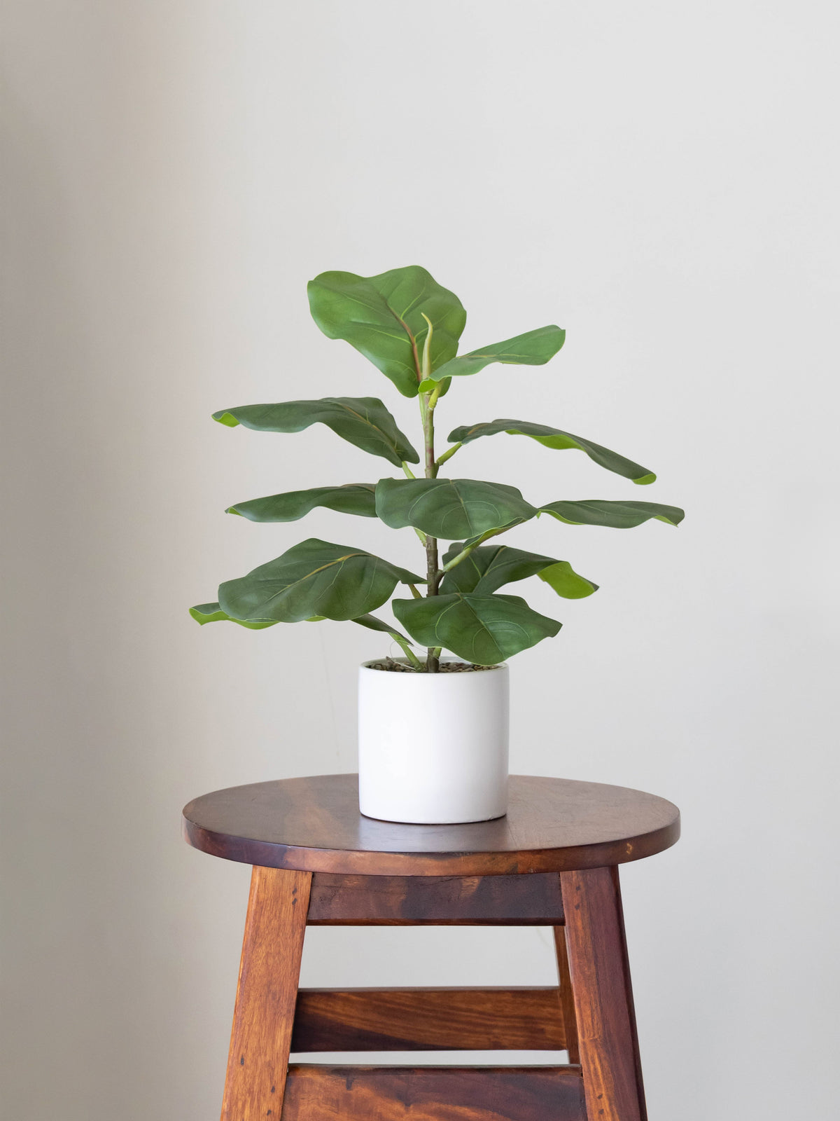 Artificial Fiddle Leaf Table Accent 1ft