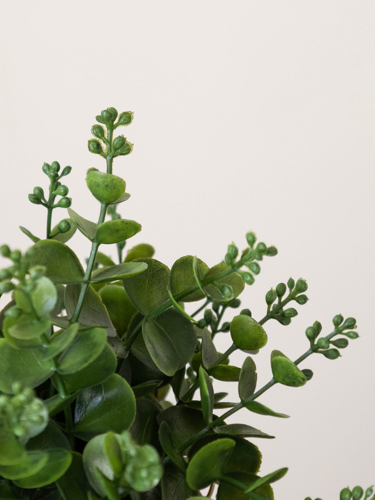Artificial Eucalyptus Tabletop Plant 1ft
