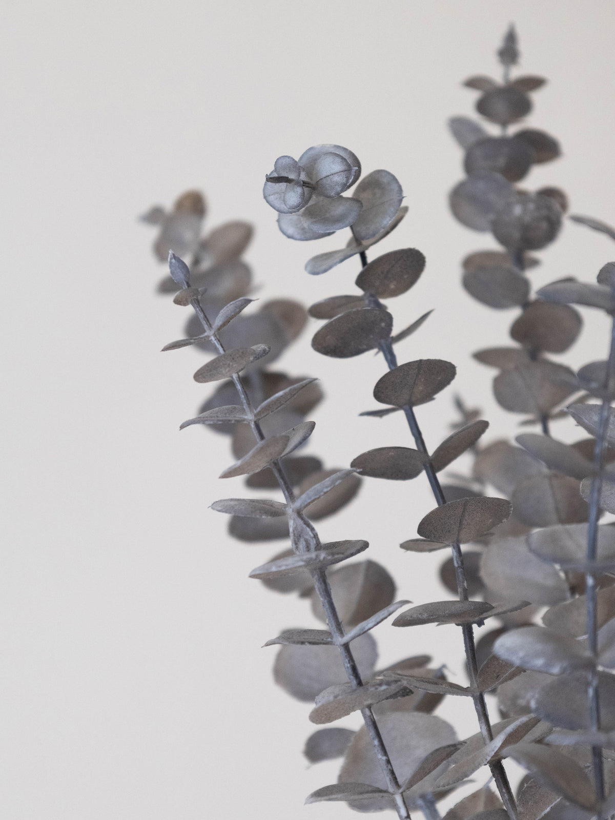 Artificial Eucalyptus Spray Stem