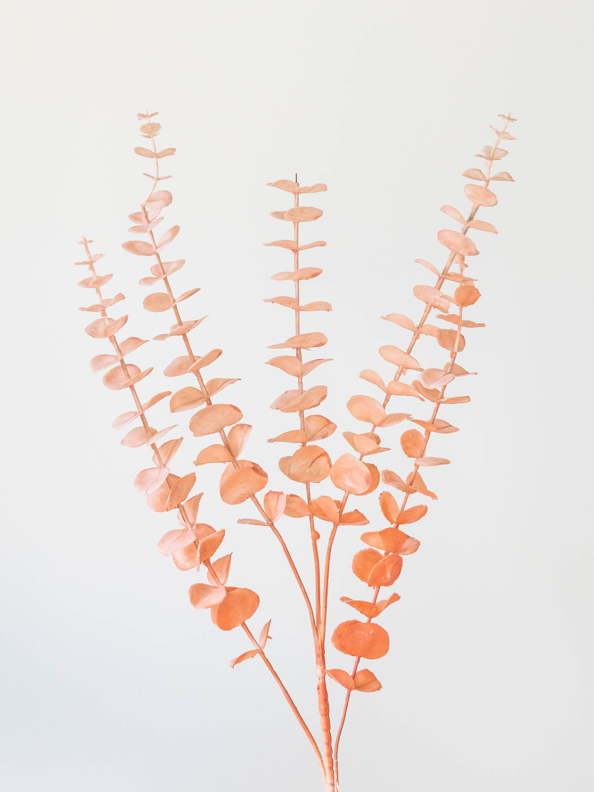 Artificial Eucalyptus Spray Stem