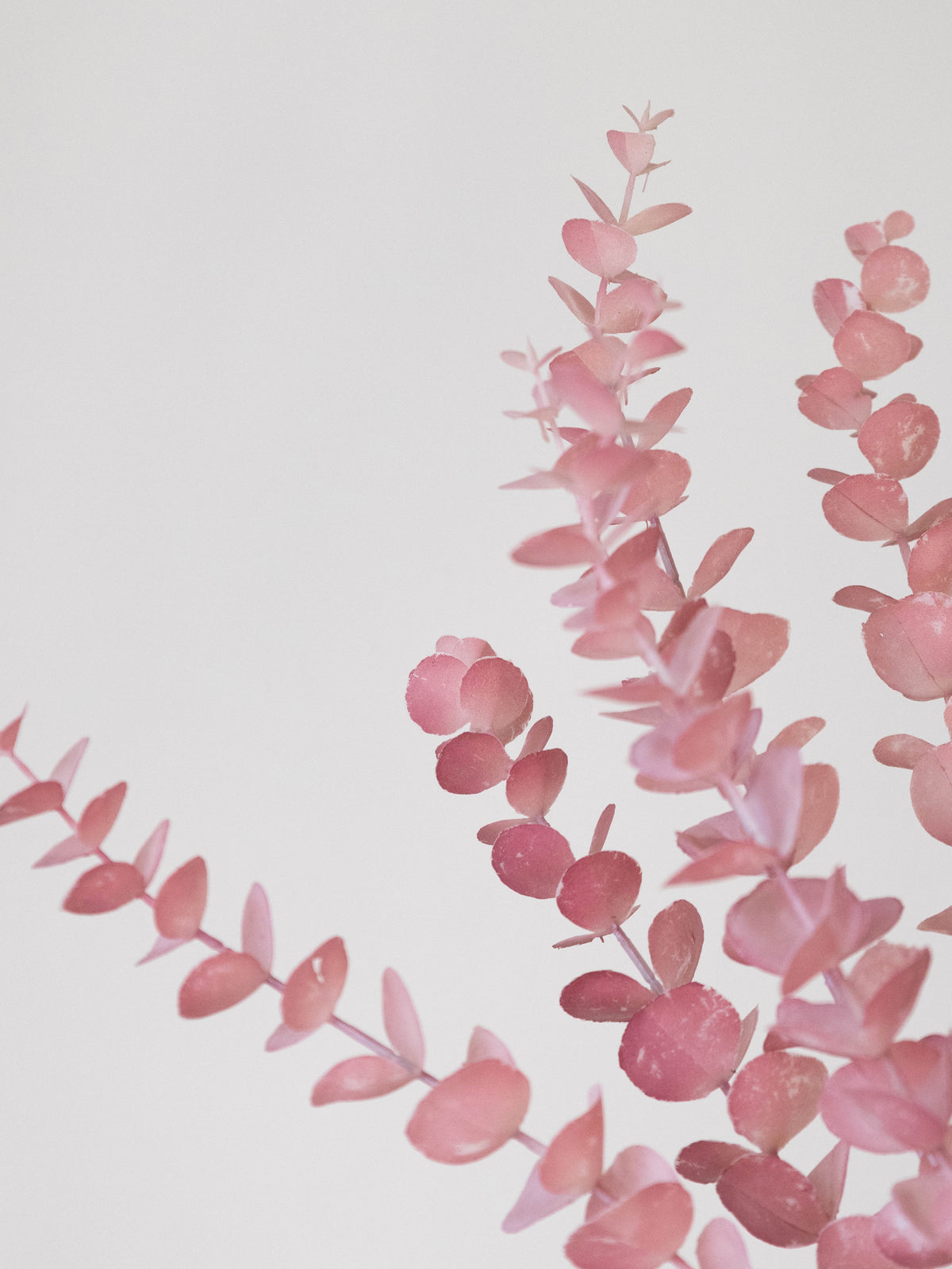 Artificial Eucalyptus Spray Stem