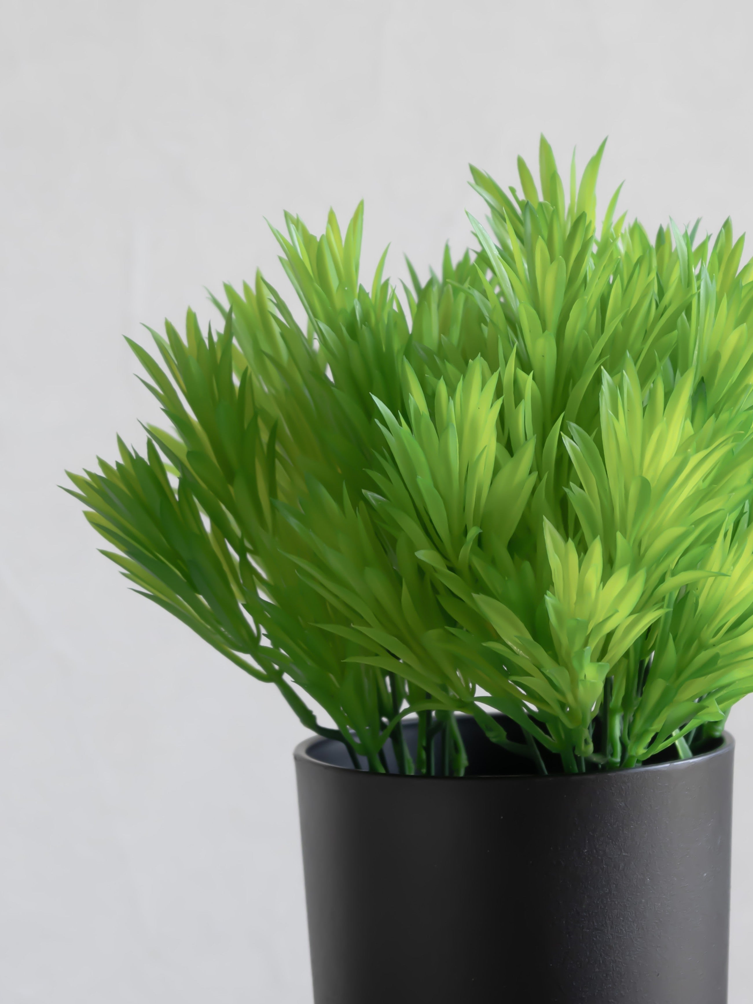 Artificial Yew leaf Bunch (Set of 3)