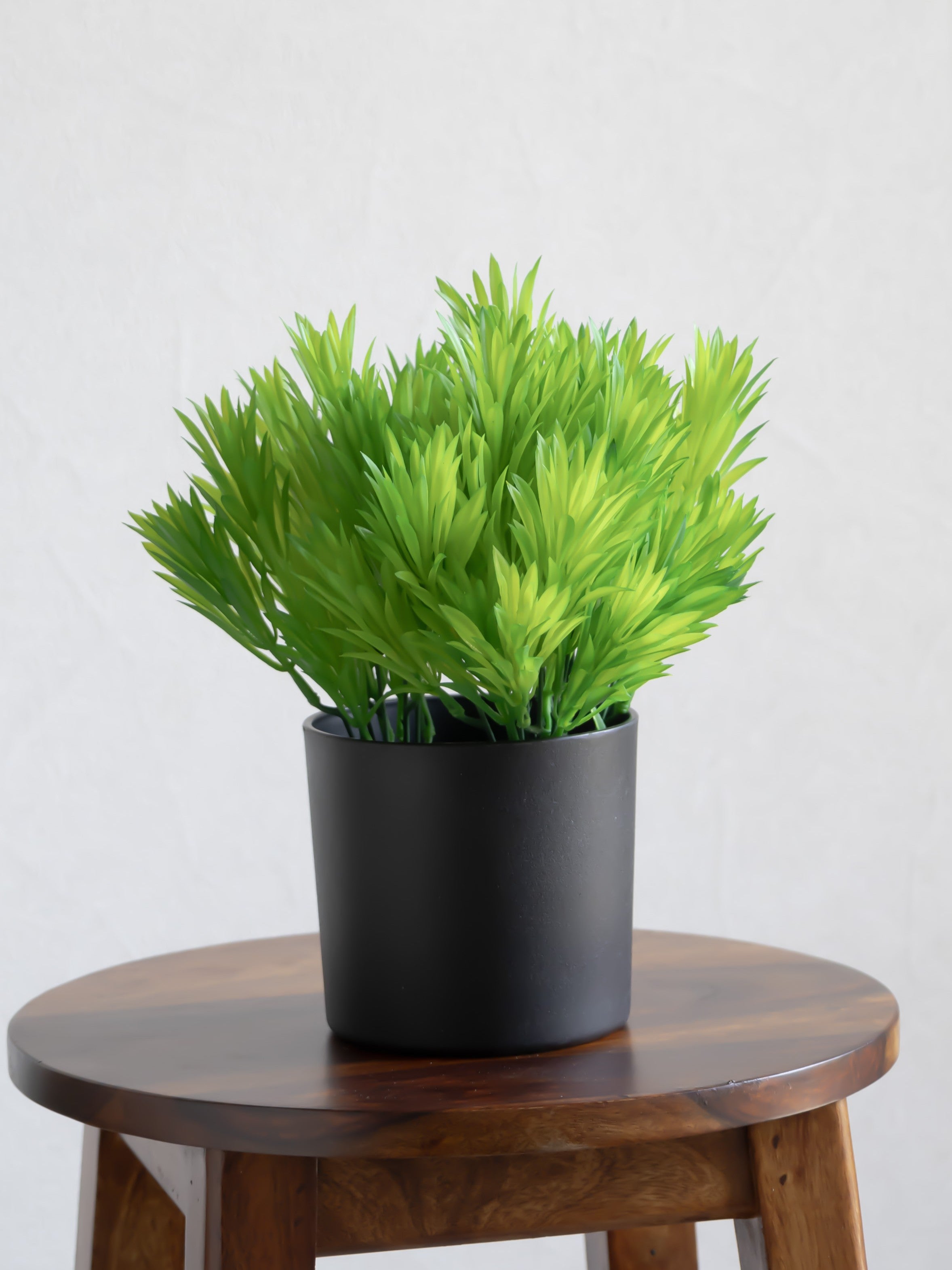 Artificial Yew leaf Bunch (Set of 3)