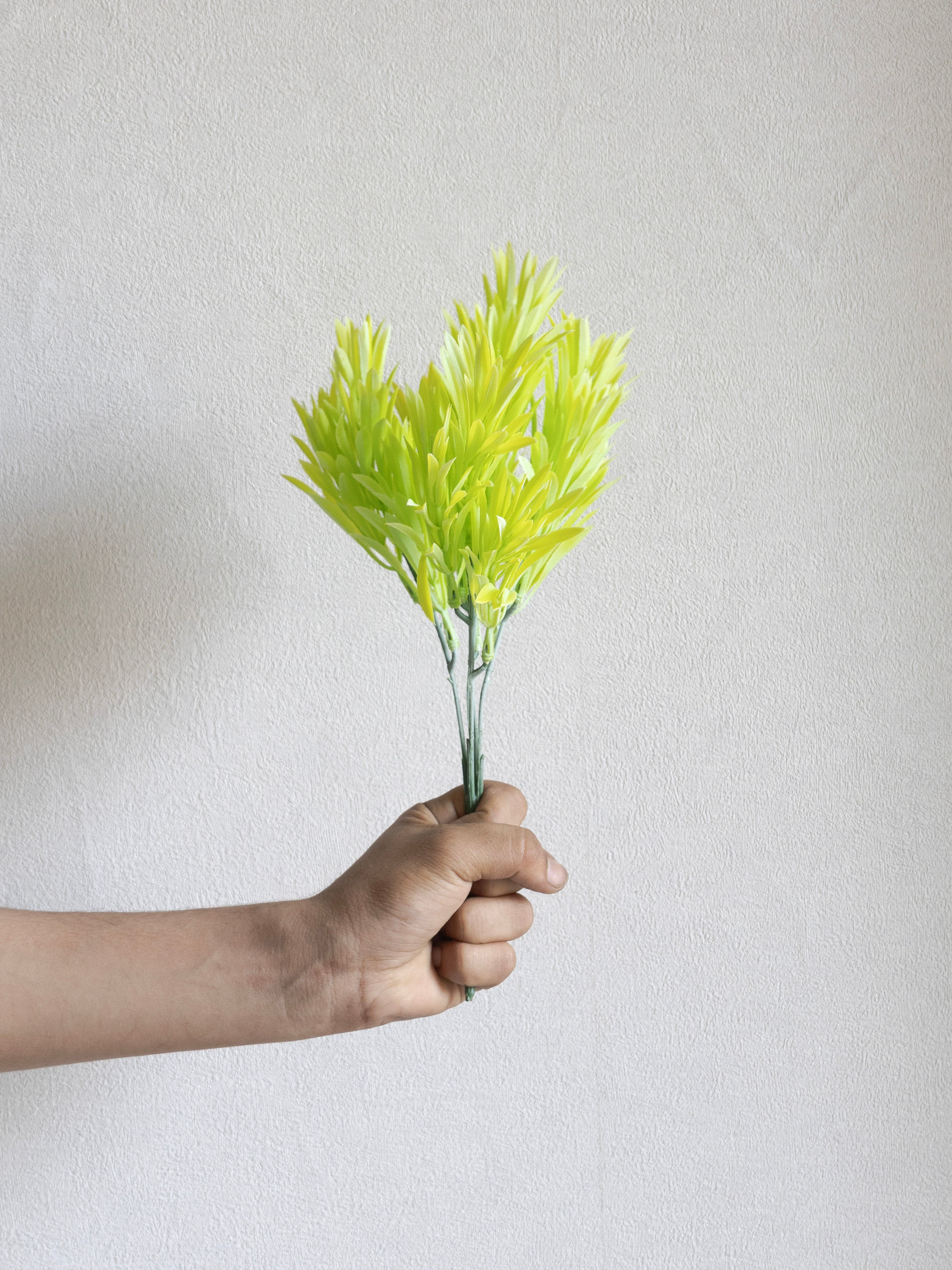 Artificial Yew leaf Bunch (Set of 3)