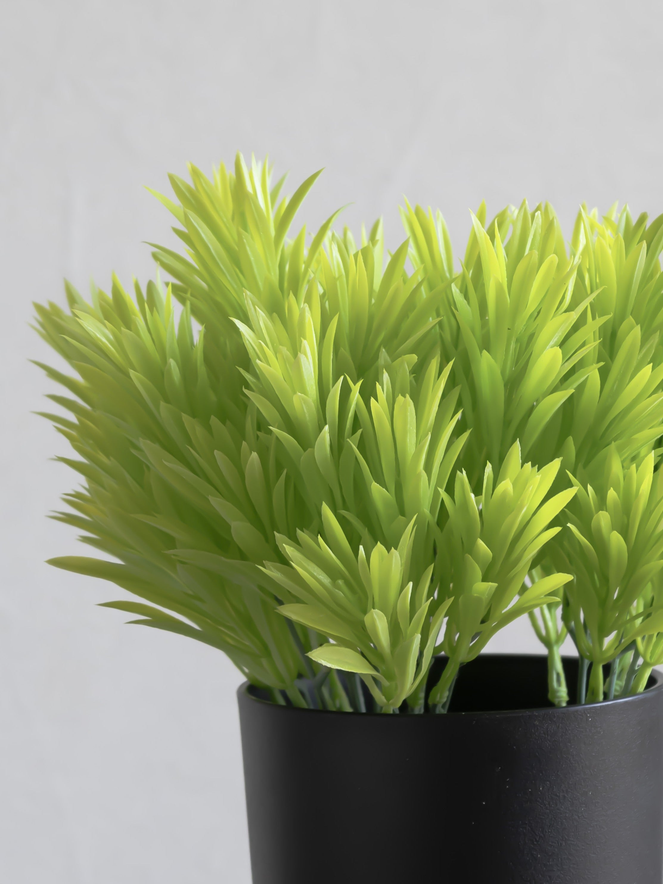 Artificial Yew leaf Bunch (Set of 3)