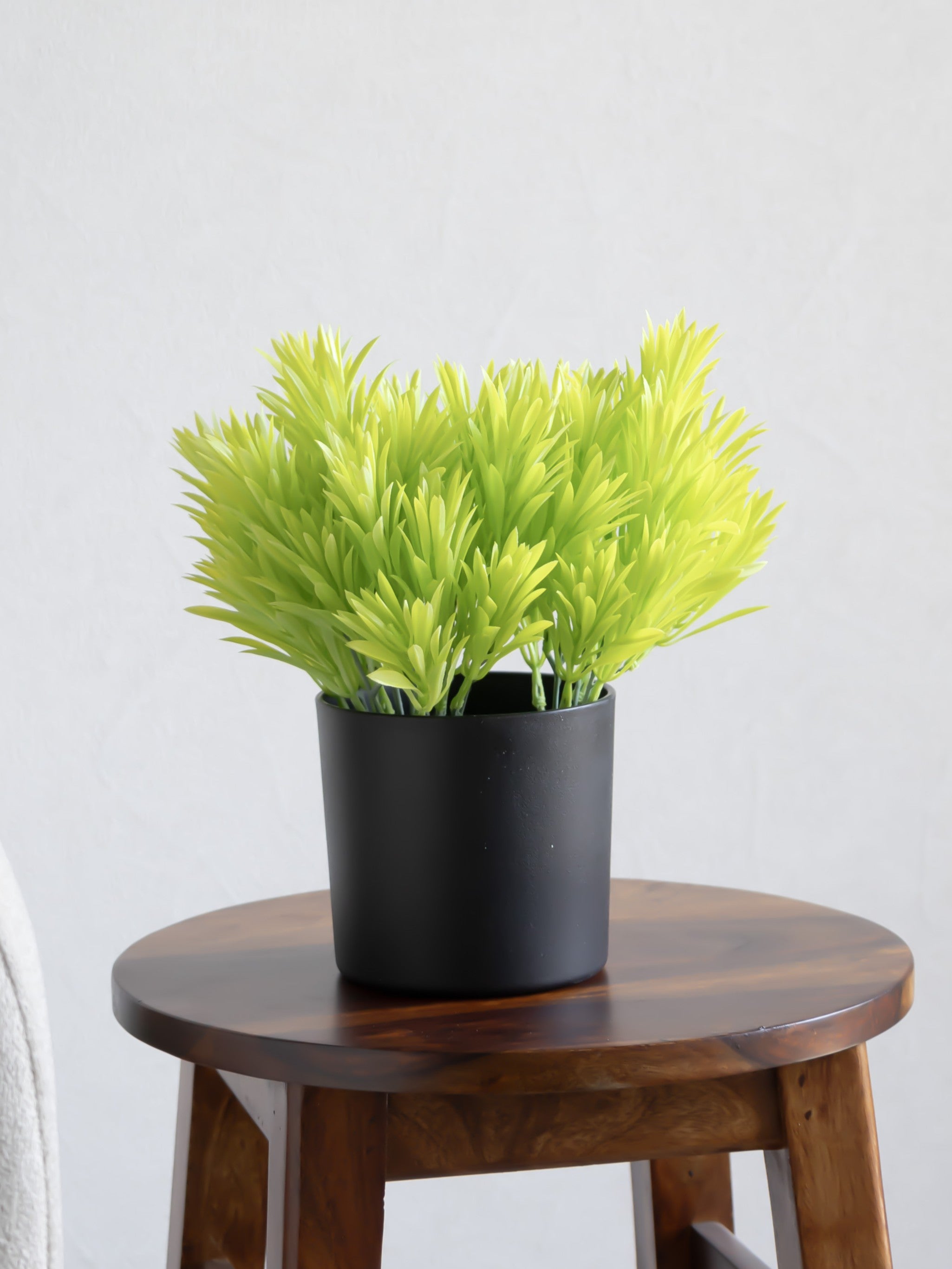 Artificial Yew leaf Bunch (Set of 3)