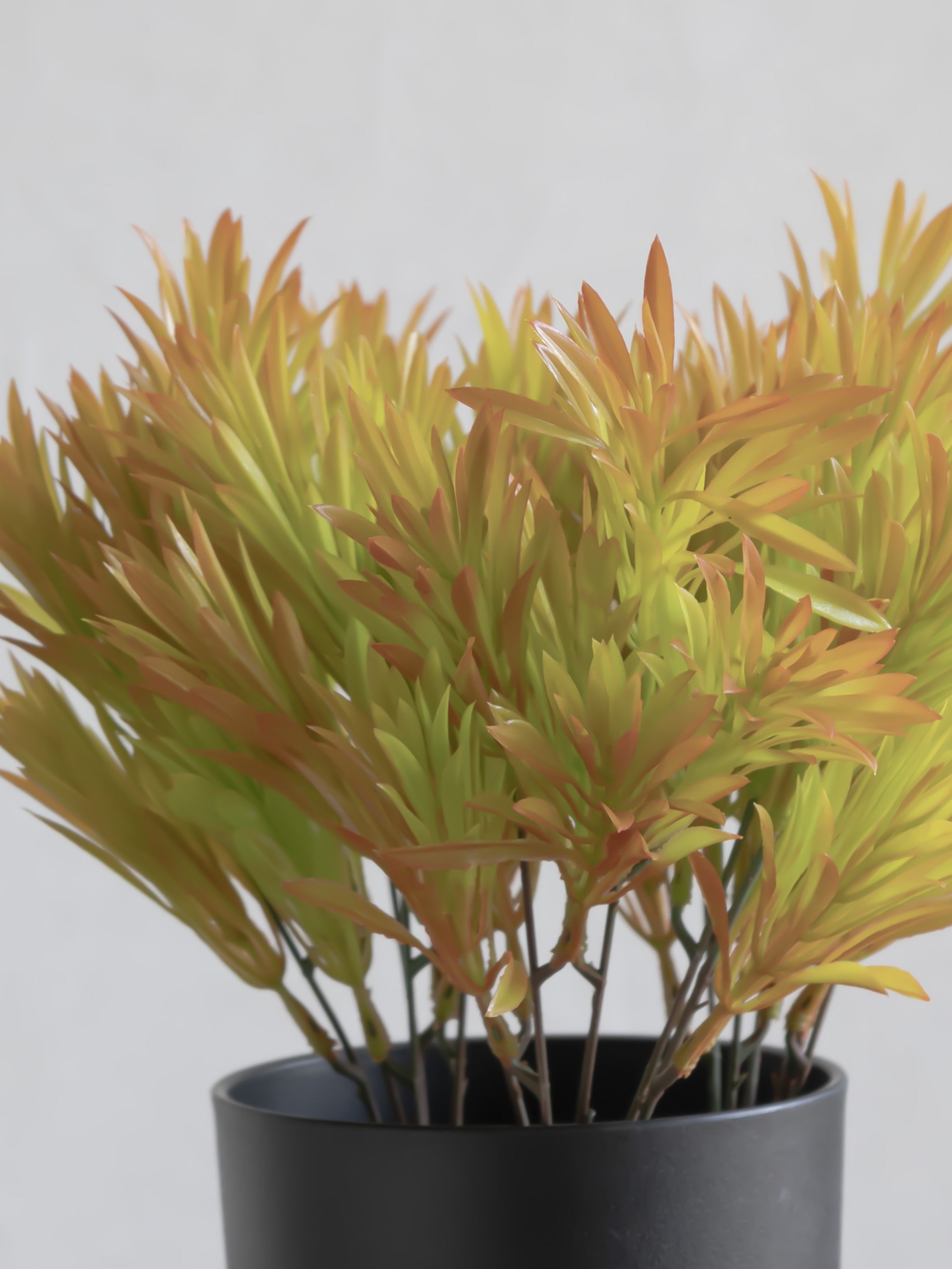 Artificial Yew leaf Bunch (Set of 3)