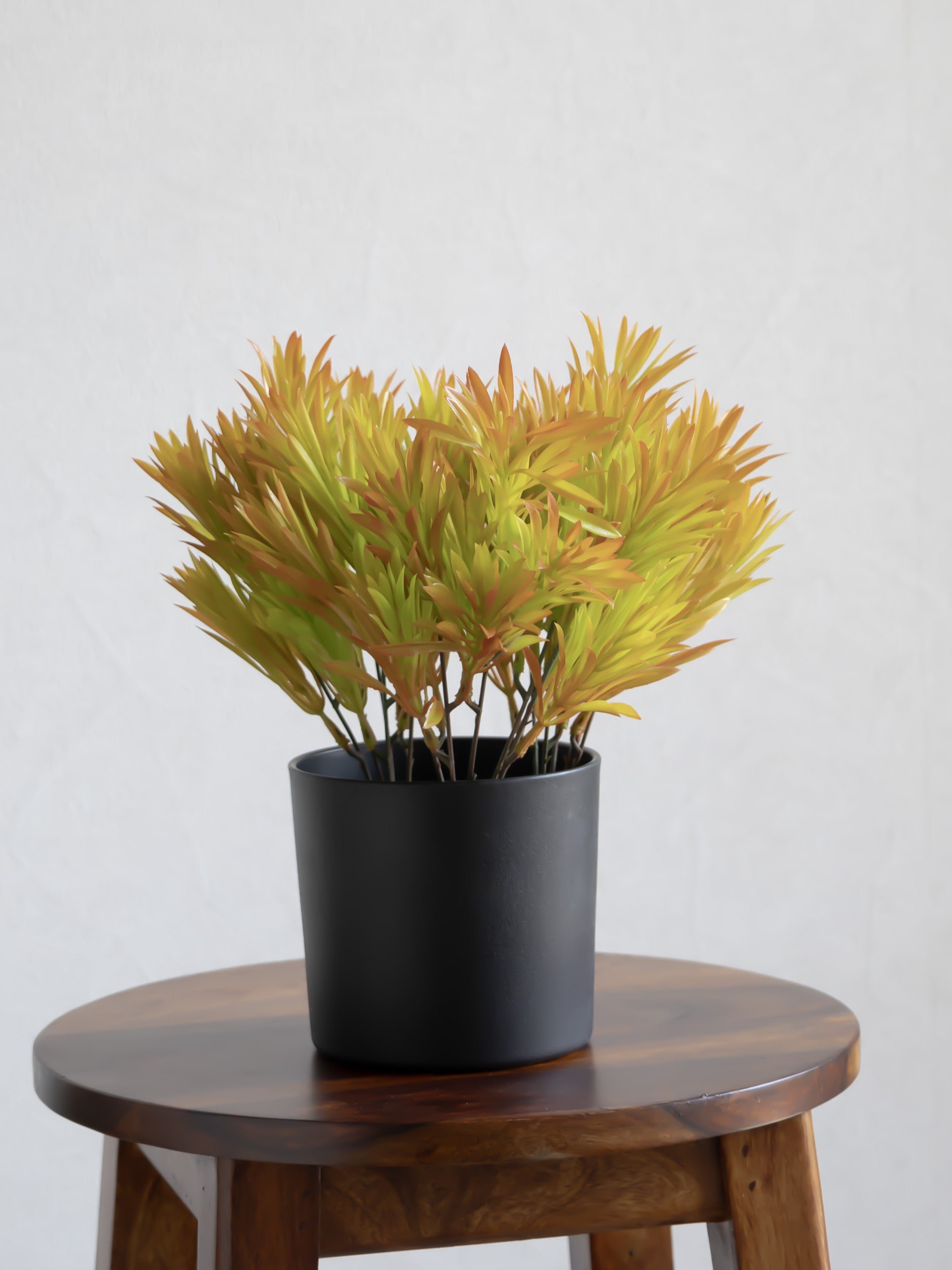 Artificial Yew leaf Bunch (Set of 3)