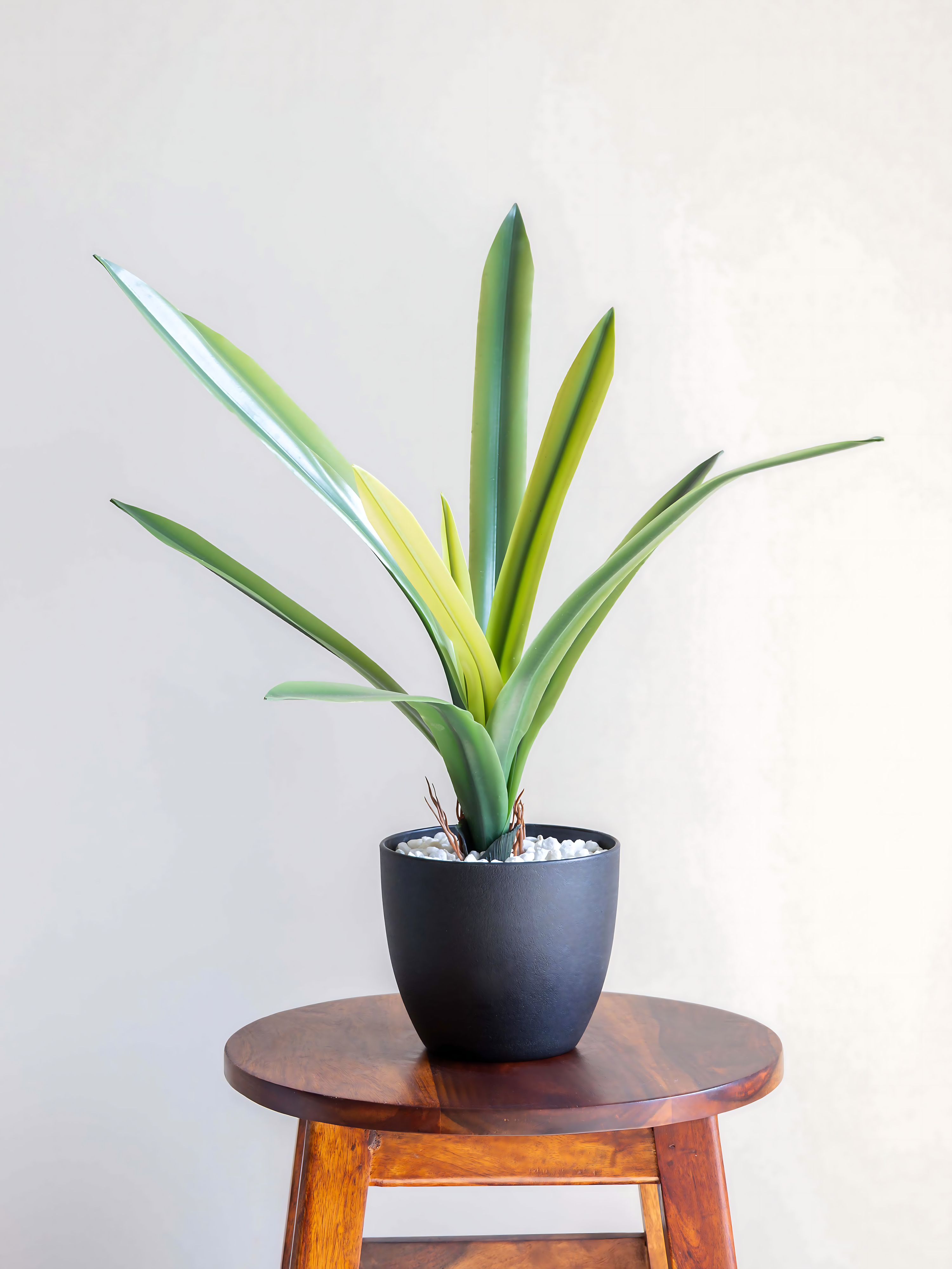Artificial Amaryllidaceae Leaf Bunch 1.9ft