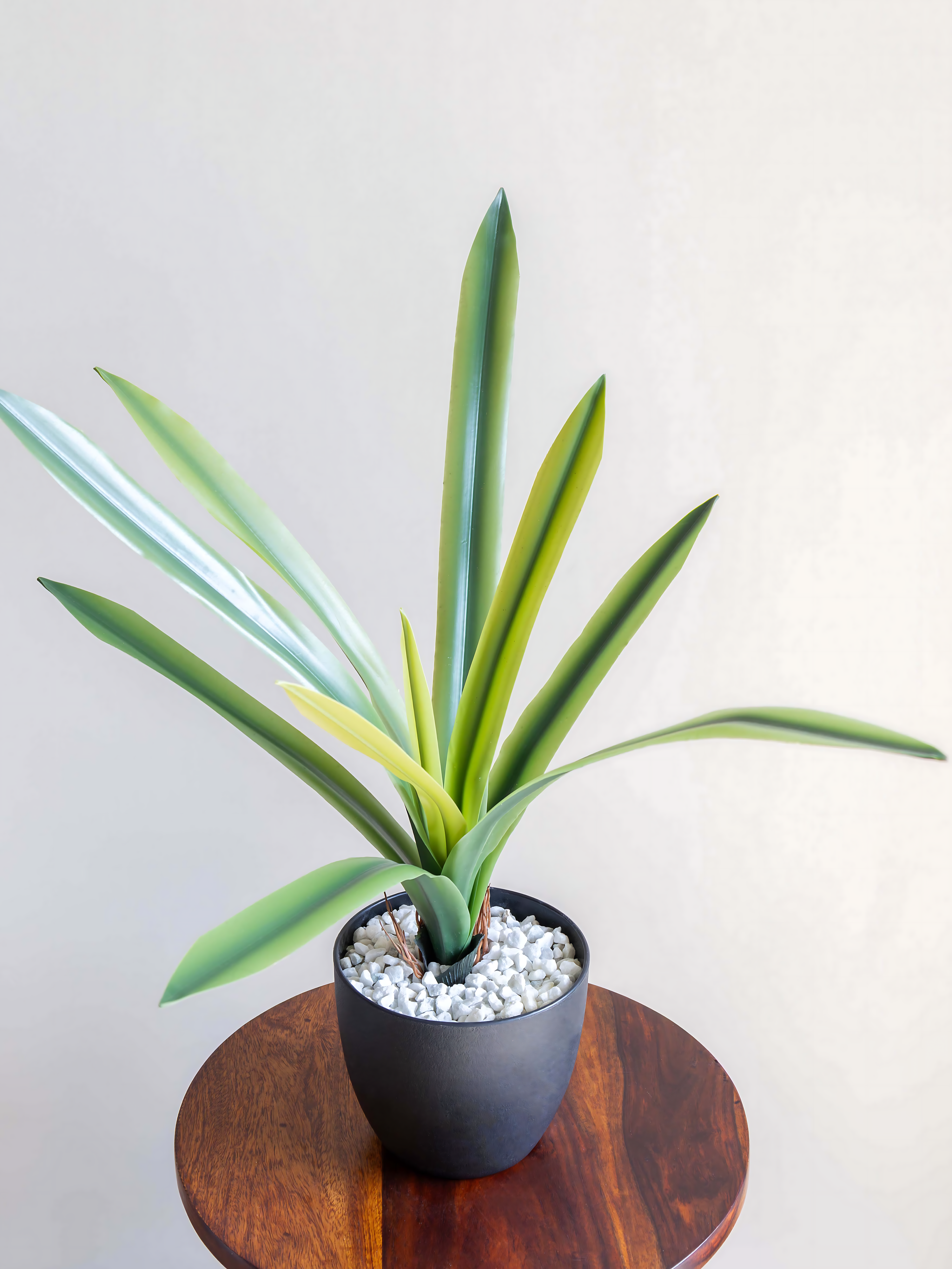 Artificial Amaryllidaceae Leaf Bunch 1.9ft