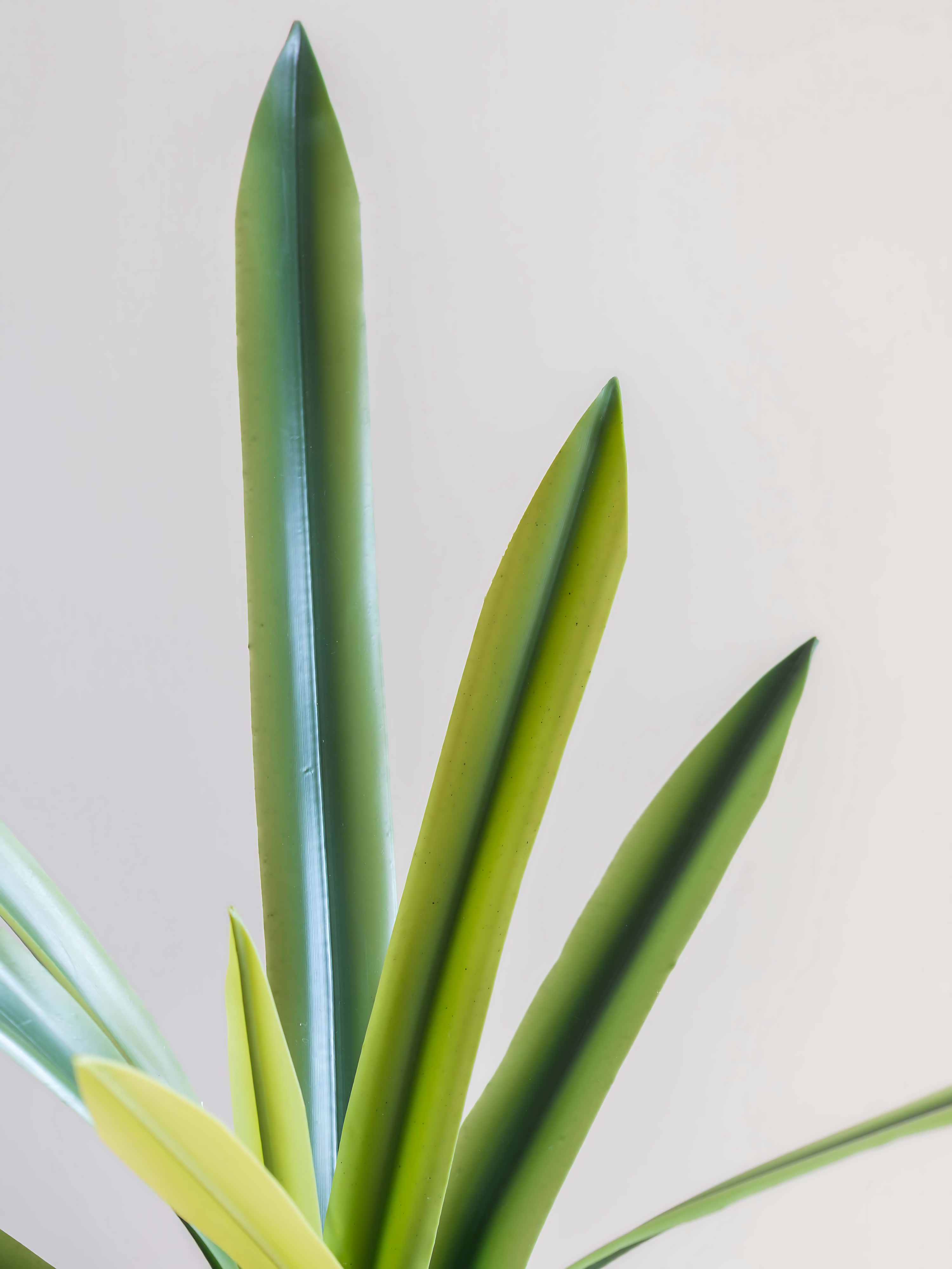 Artificial Amaryllidaceae Leaf Bunch 1.9ft