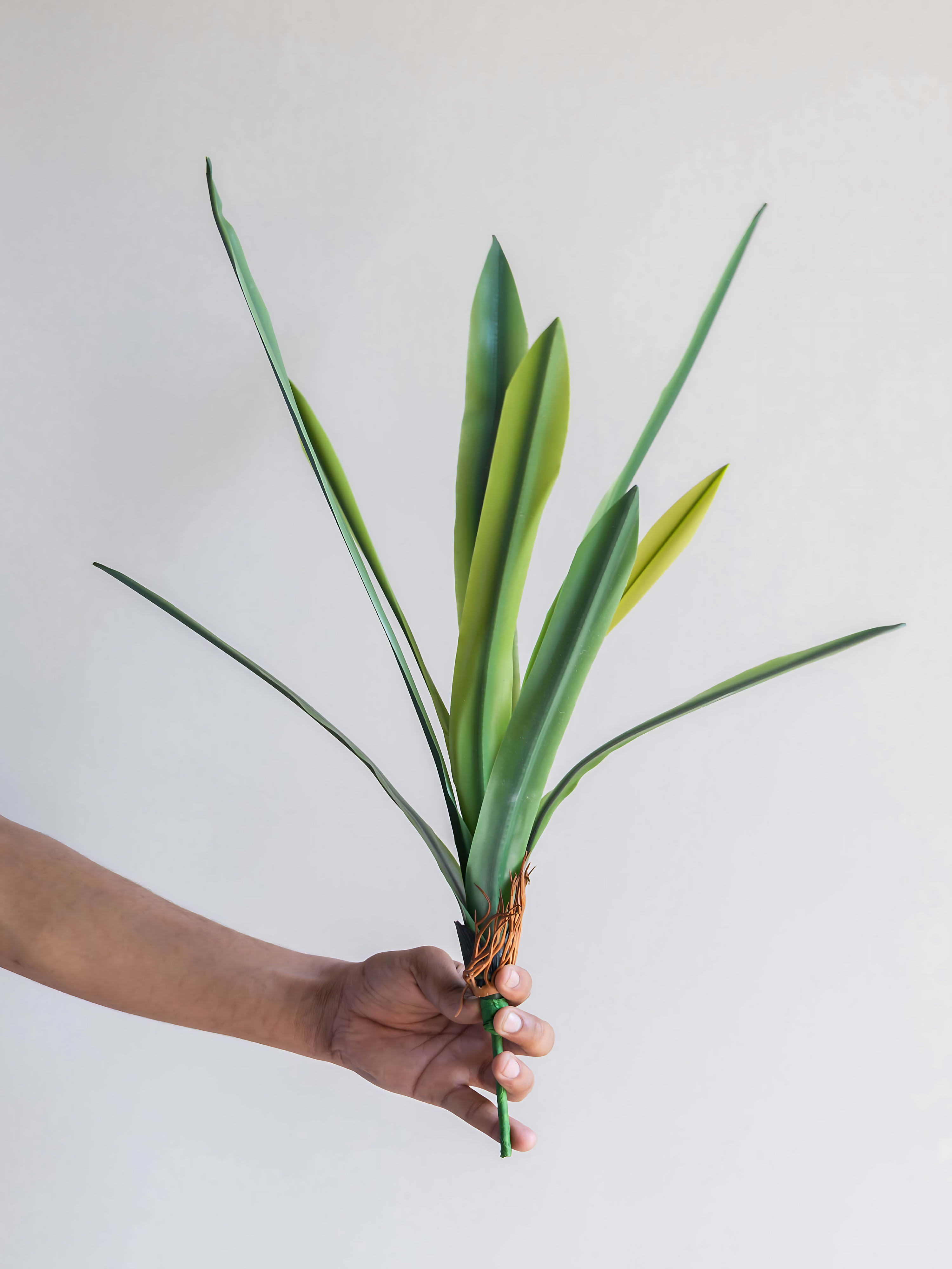 Artificial Amaryllidaceae Leaf Bunch 1.9ft