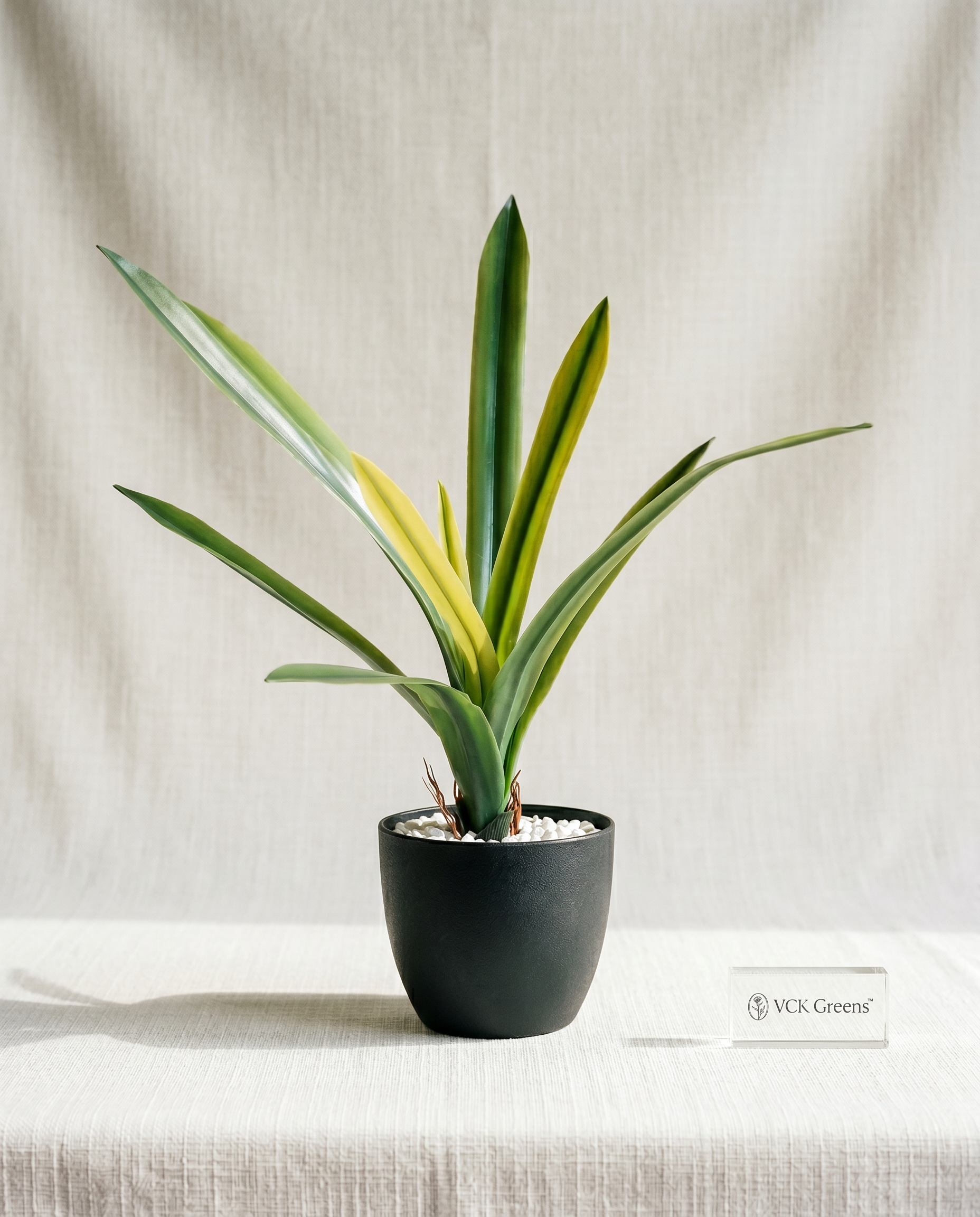Artificial Amaryllidaceae Leaf Bunch 1.9ft