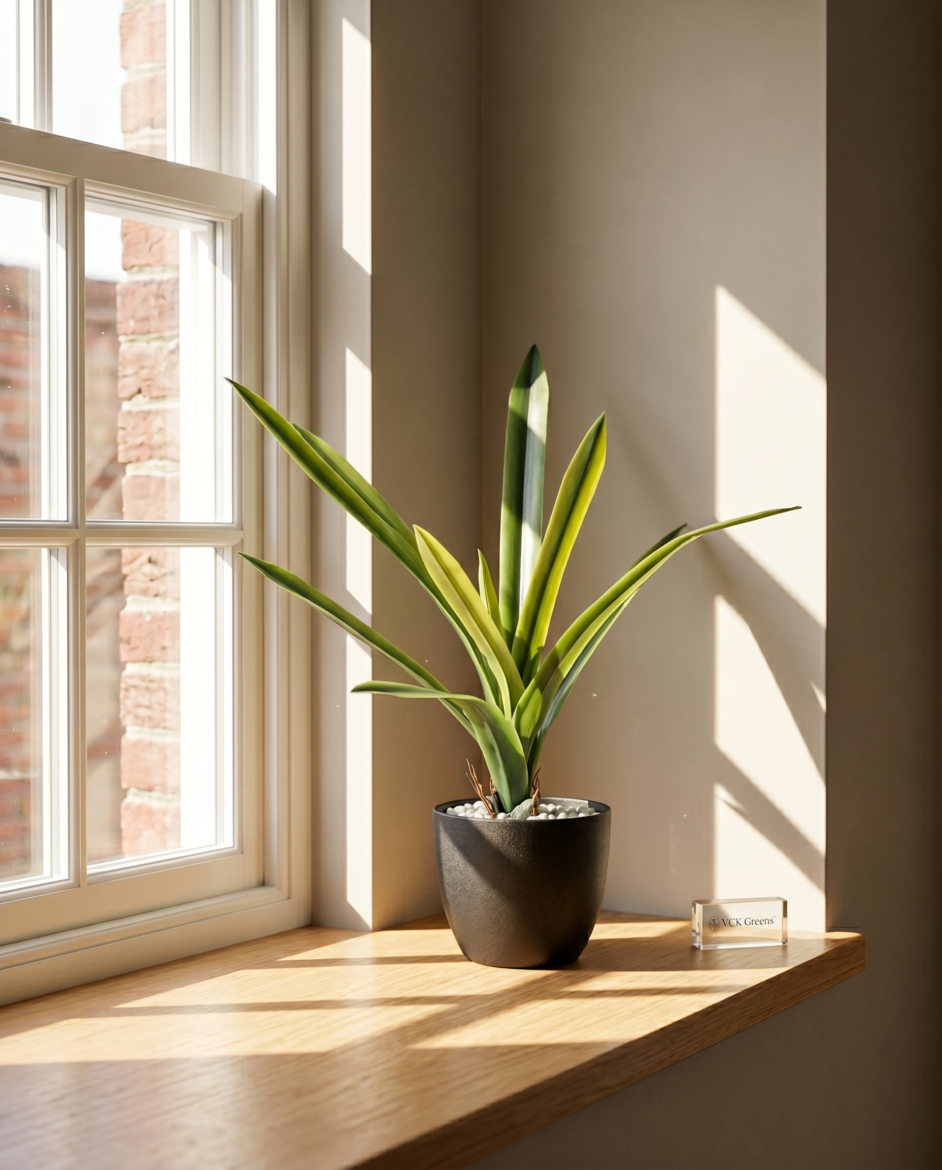 Artificial Amaryllidaceae Leaf Bunch 1.9ft
