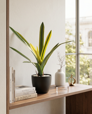 Artificial Amaryllidaceae Leaf Bunch 1.9ft