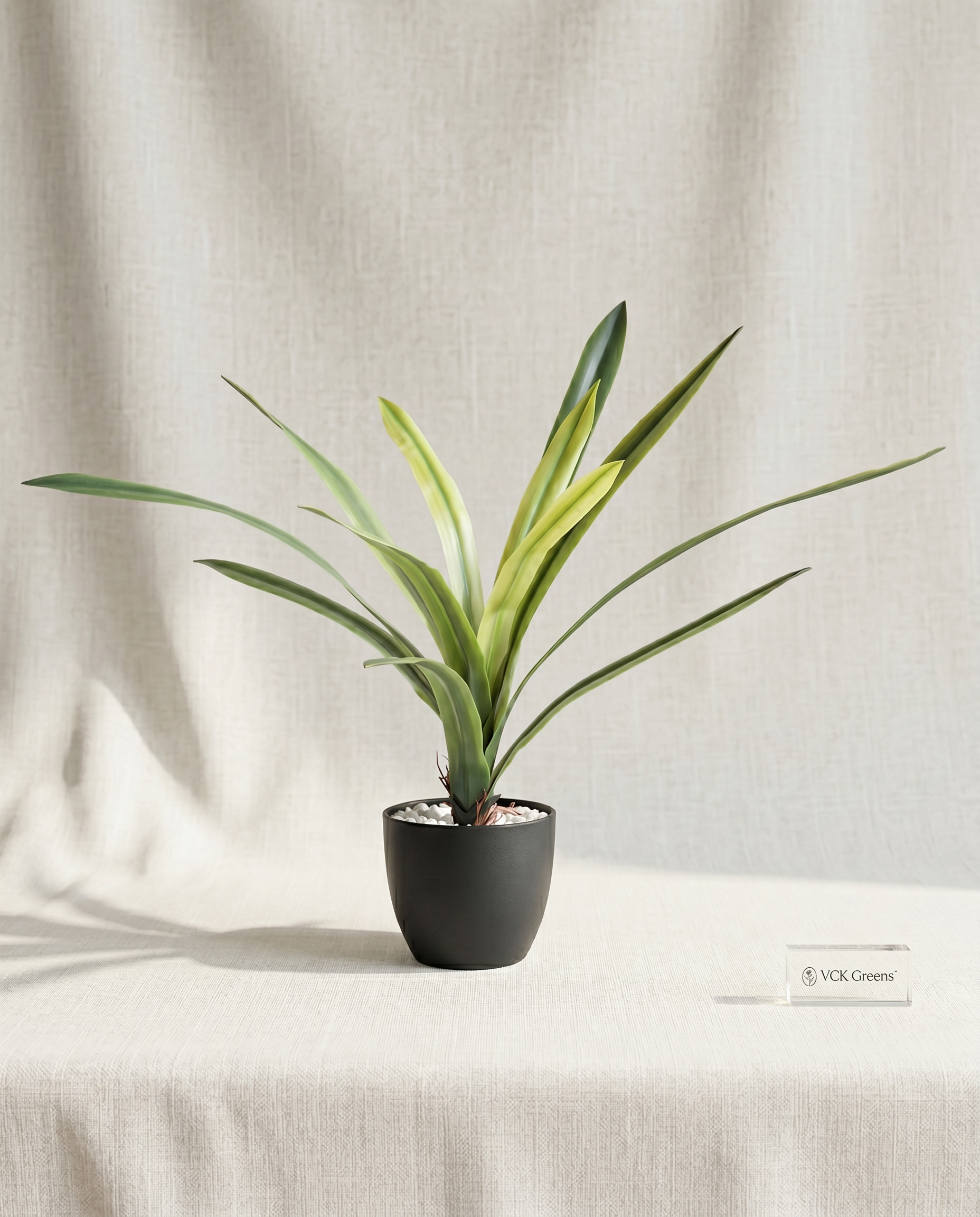 Artificial Amaryllidaceae Leaf Bunch 2ft