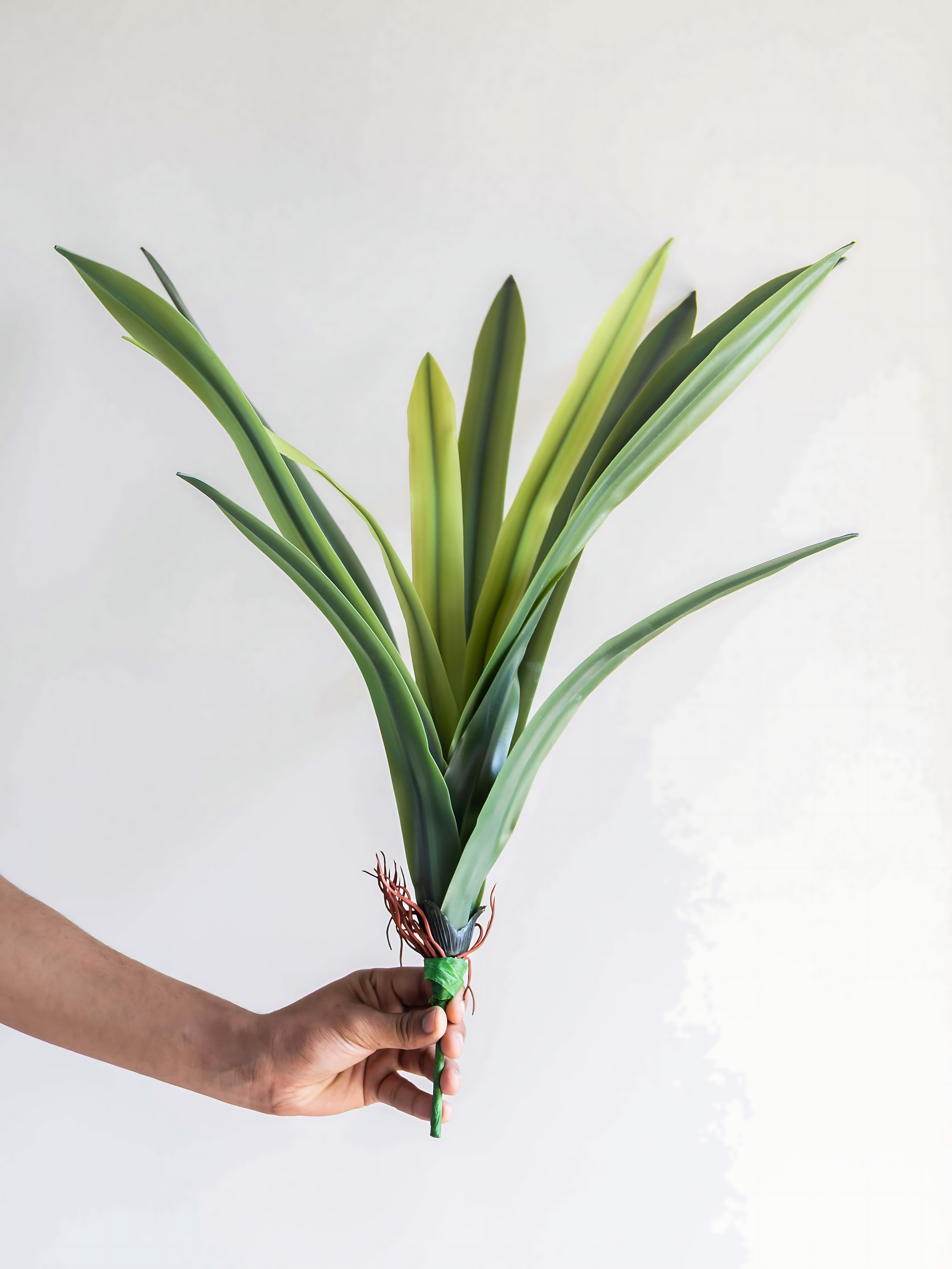 Artificial Amaryllidaceae Leaf Bunch 2ft