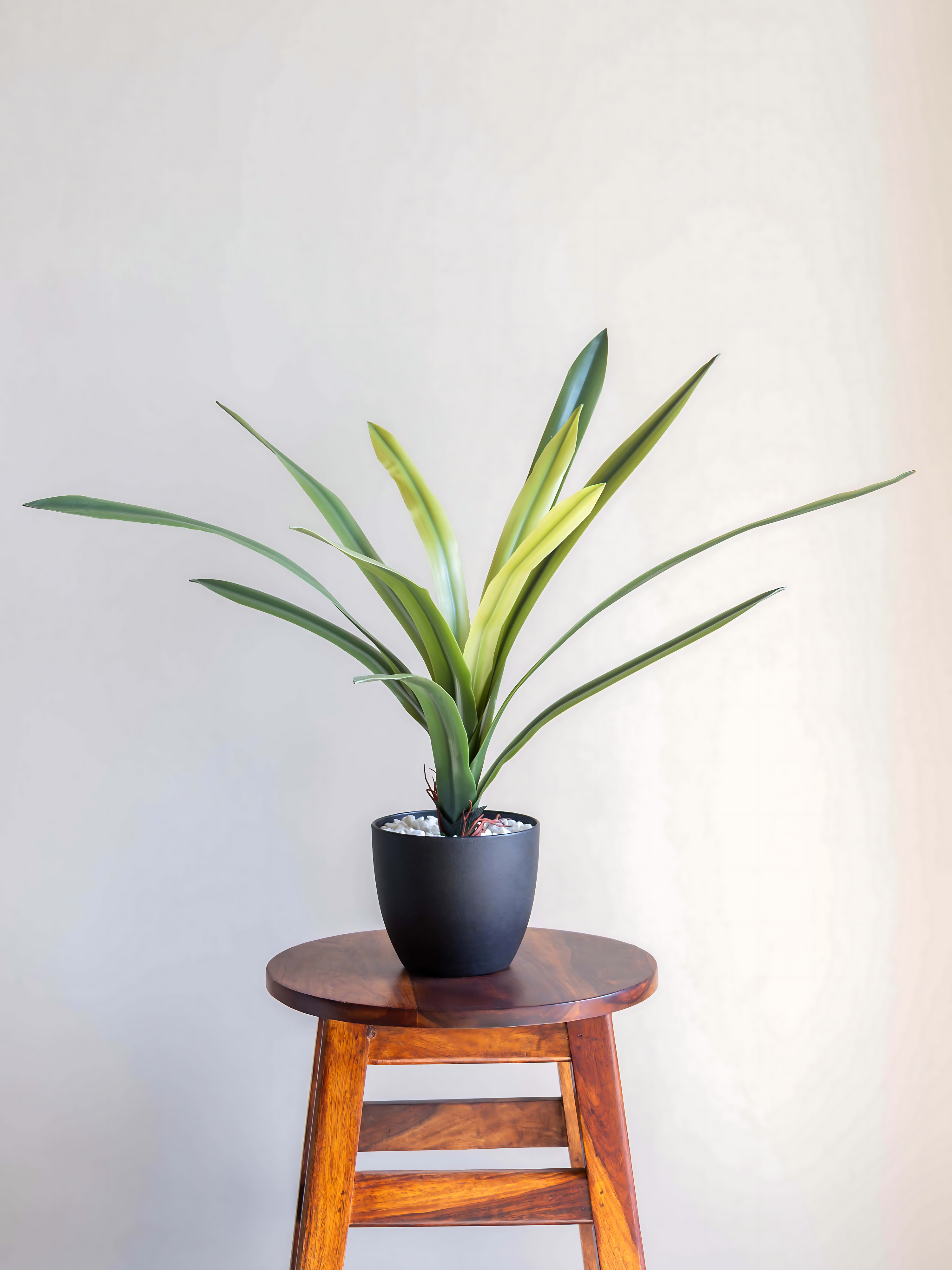 Artificial Amaryllidaceae Leaf Bunch 2ft