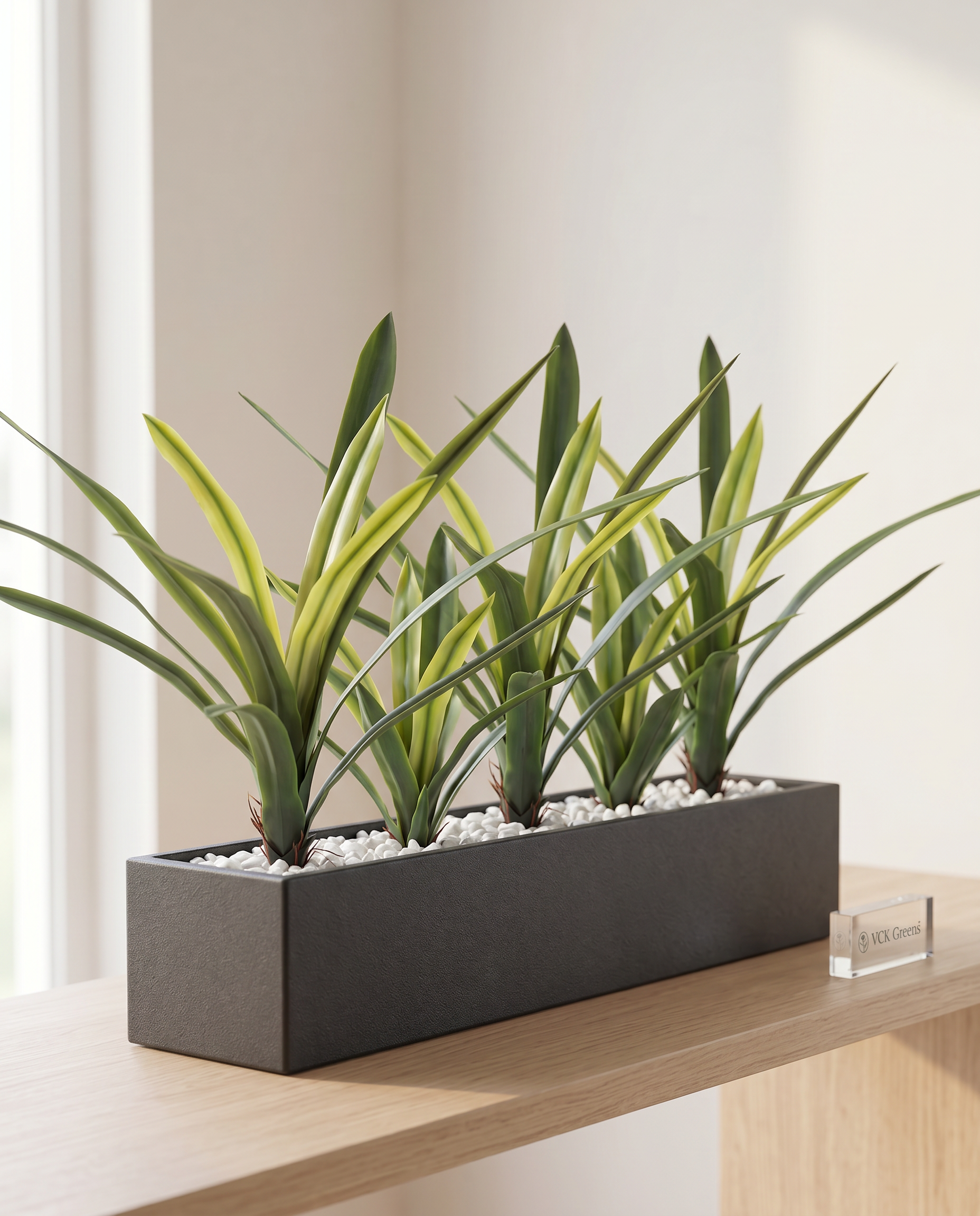Artificial Amaryllidaceae Leaf Bunch 2ft