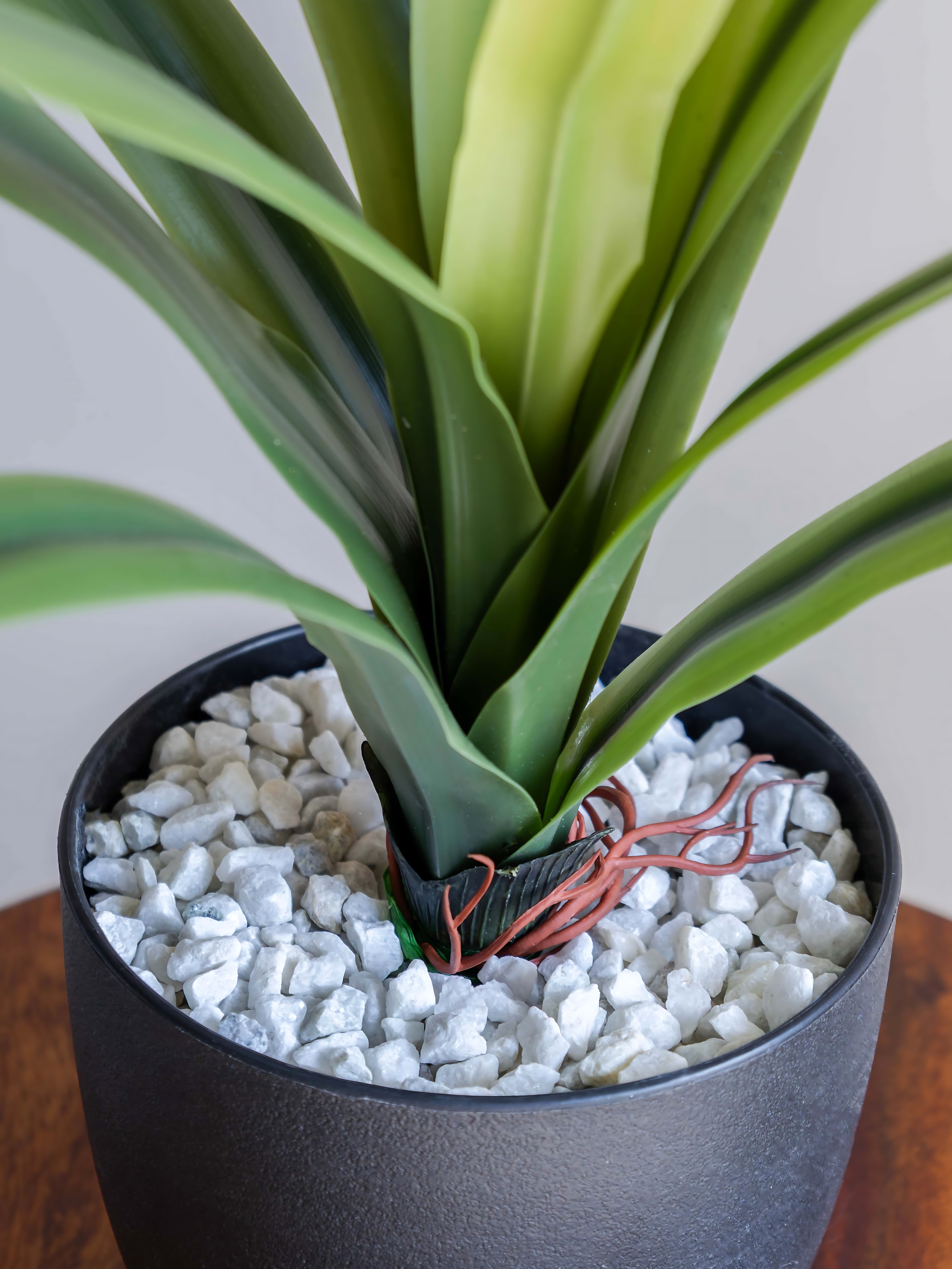 Artificial Amaryllidaceae Leaf Bunch 2ft