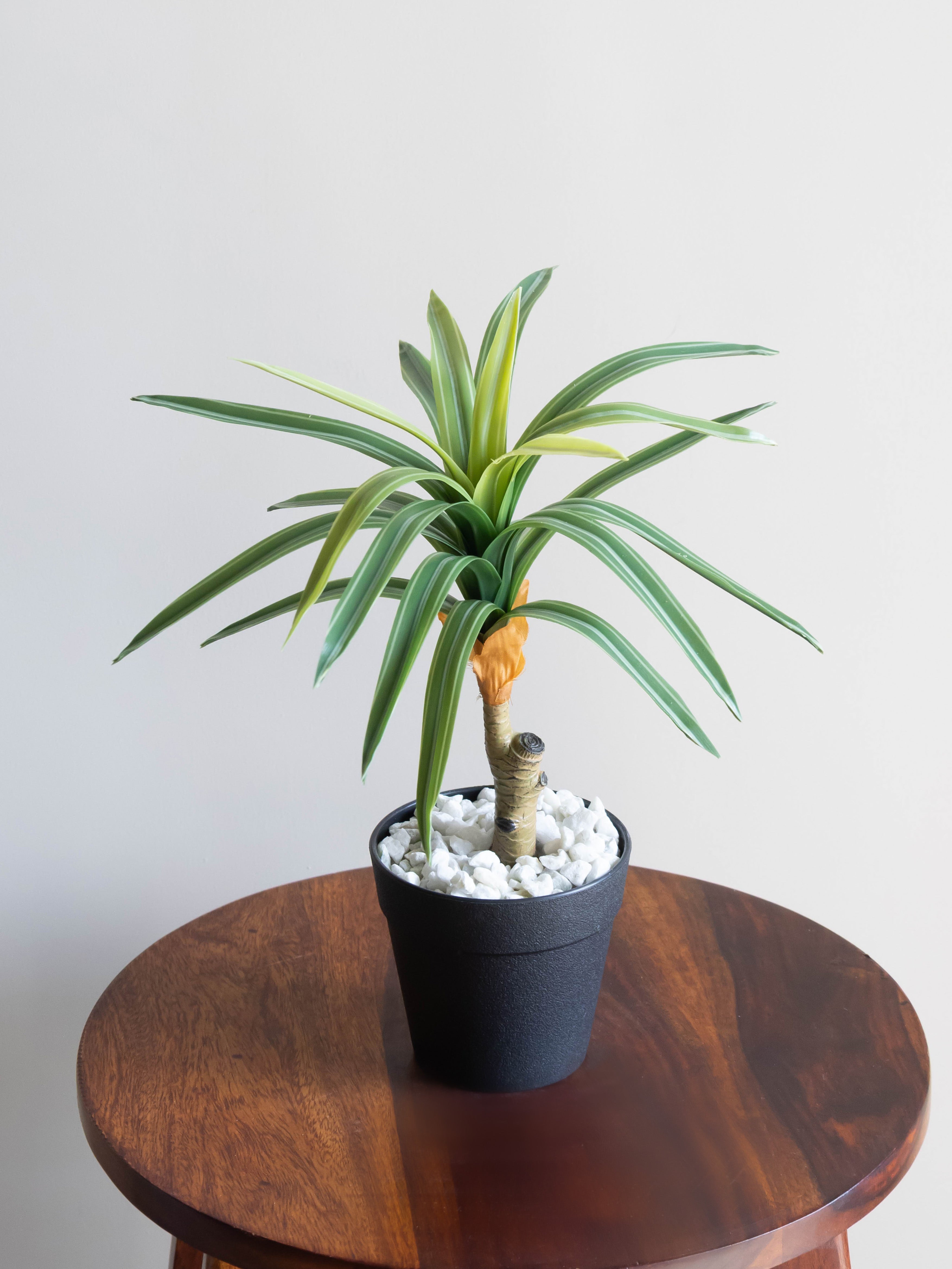 Artificial Dracaena Accent Plant 1ft