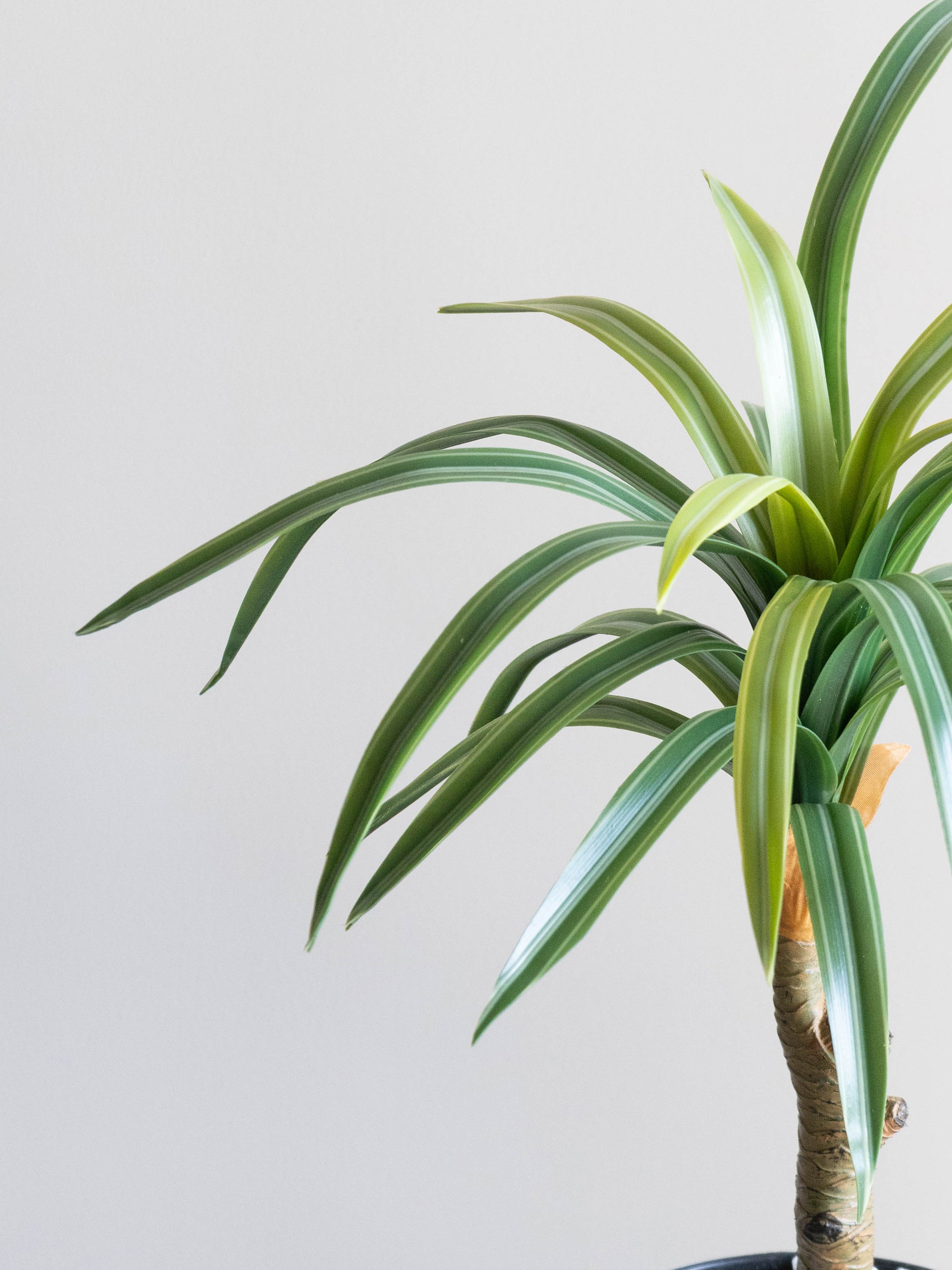 Artificial Dracaena Accent Plant 1.4ft