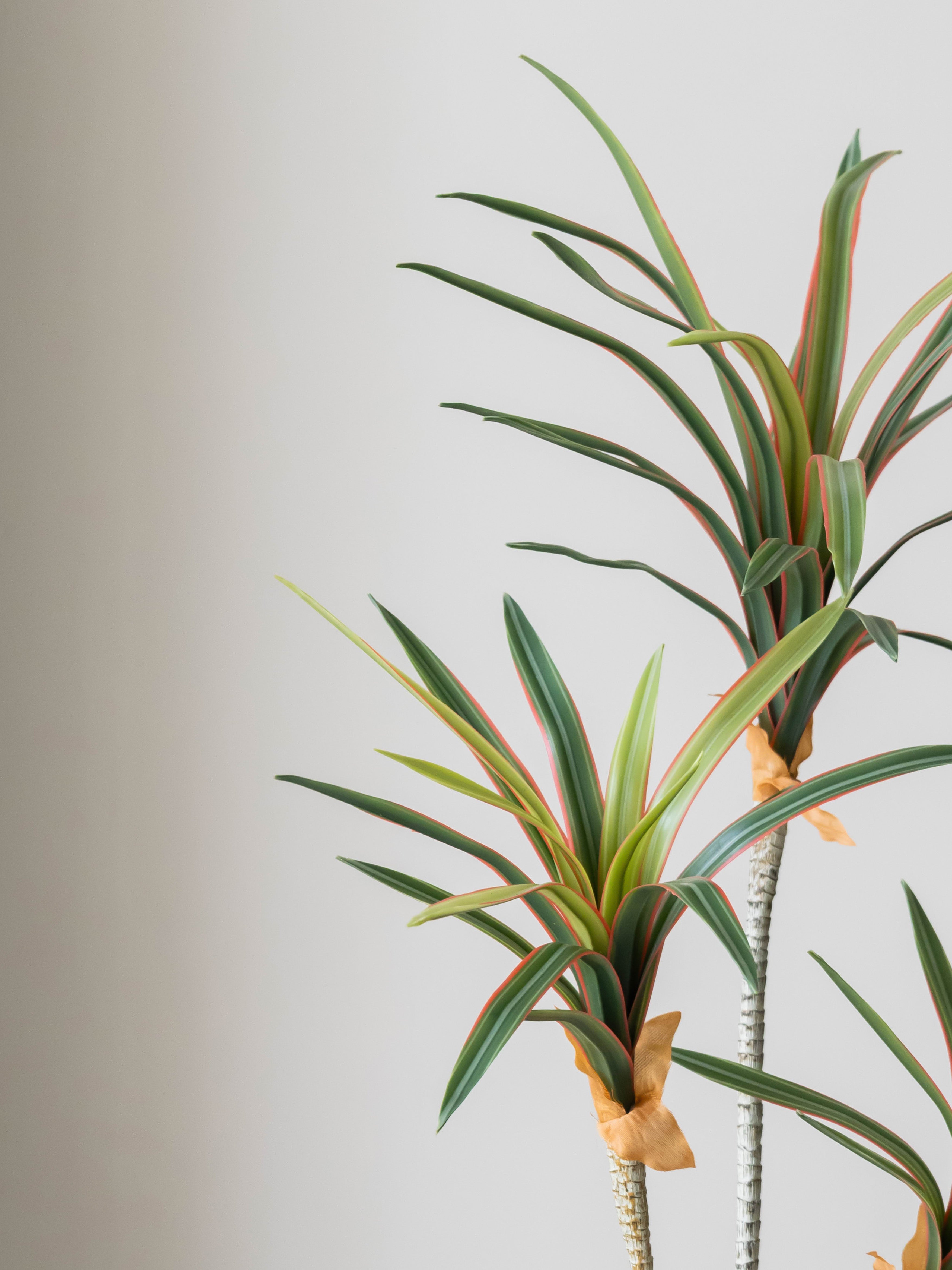 Artificial Dracaena Trio Plant 2.3ft