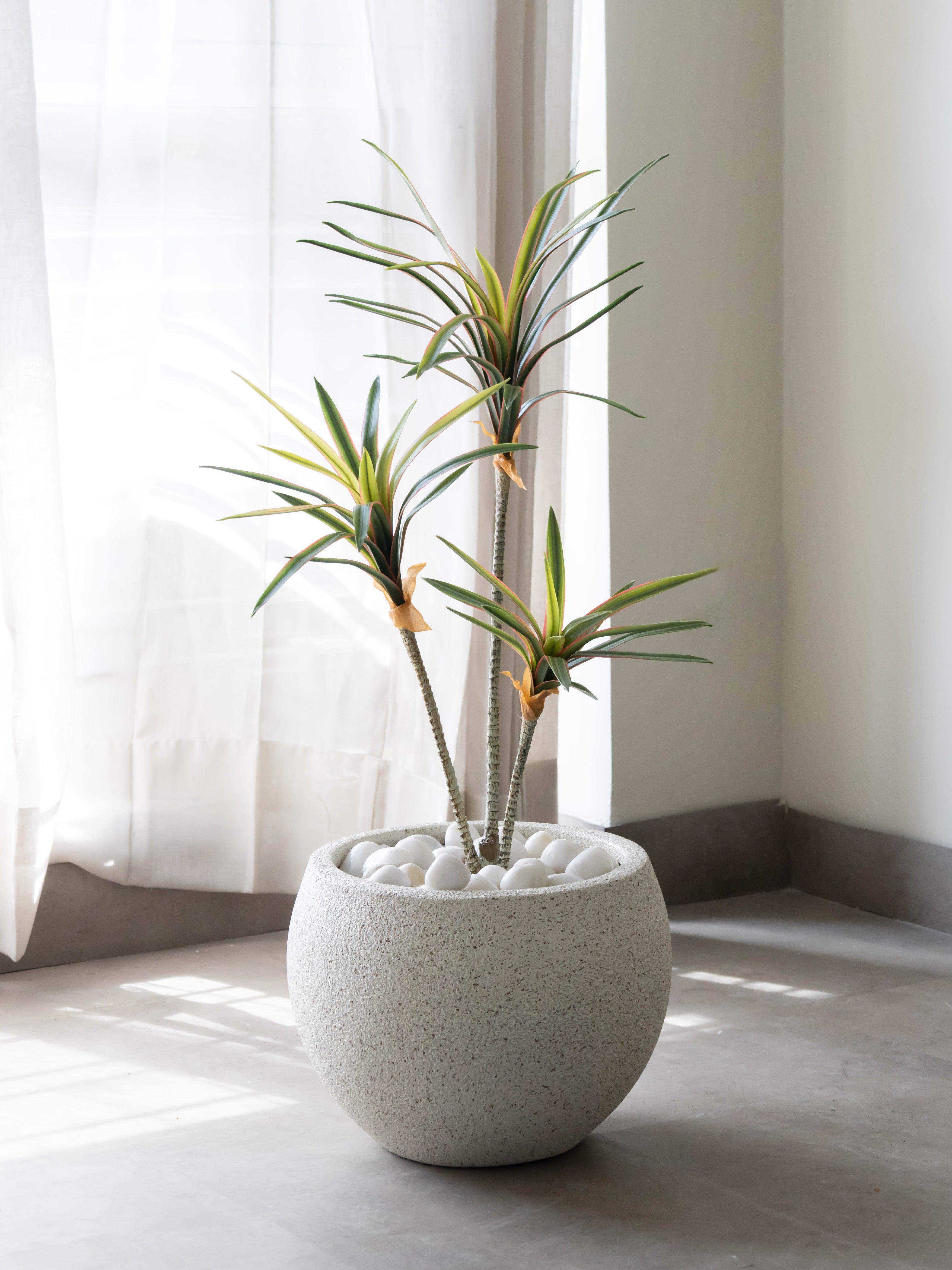 Artificial Dracaena Trio Plant 2.3ft