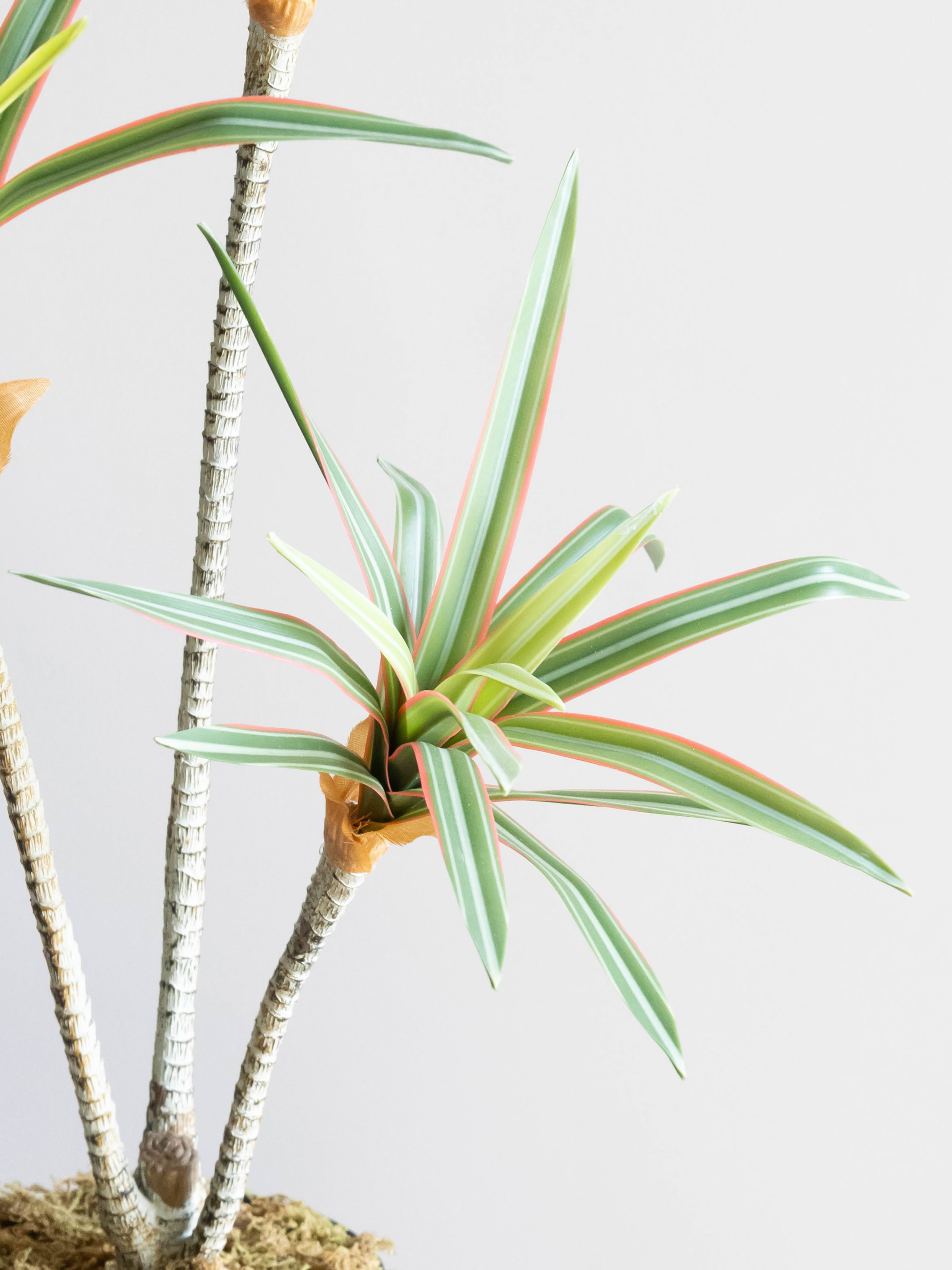 Artificial Dracaena Trio Plant 2.3ft