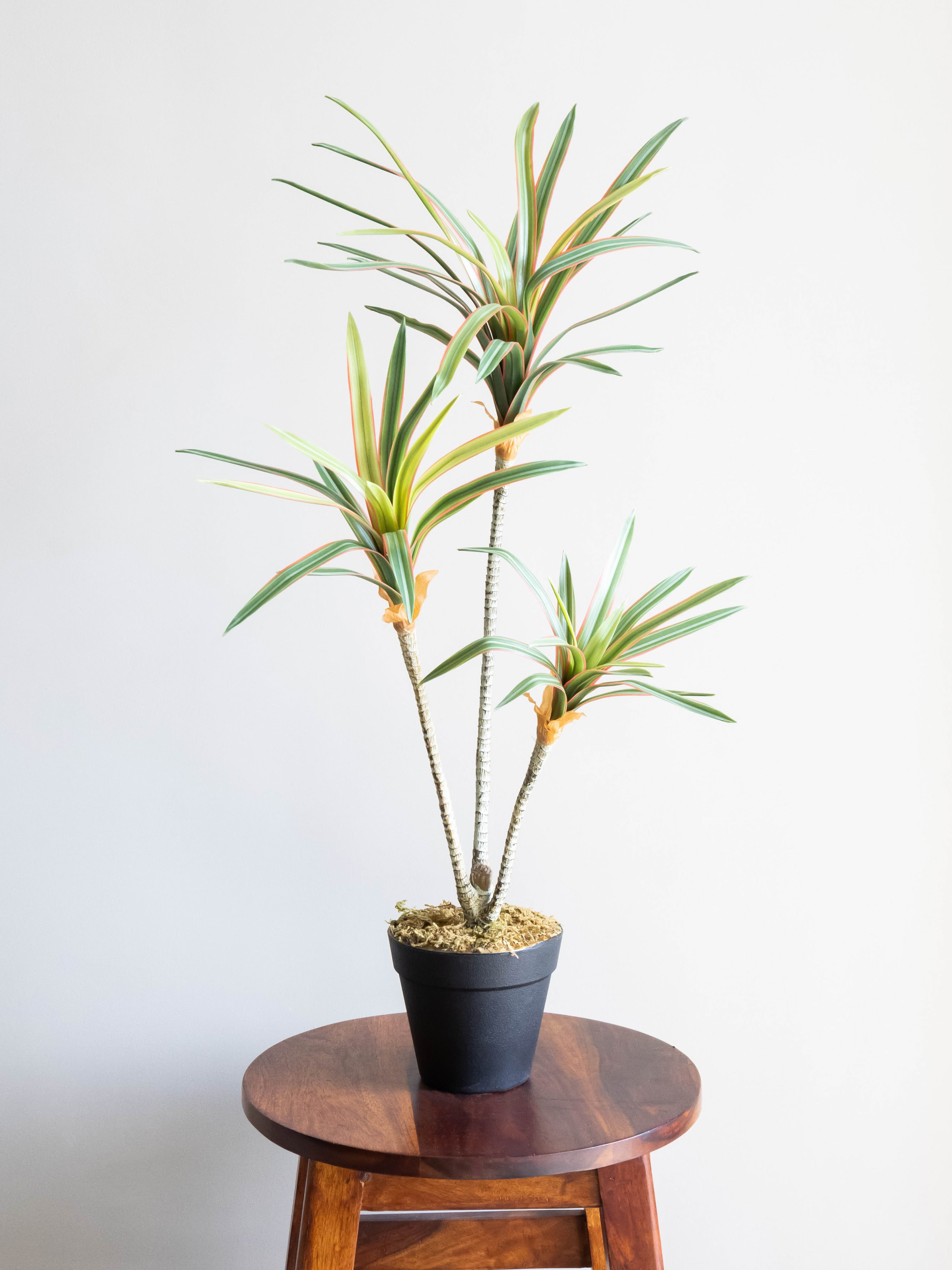 Artificial Dracaena Trio Plant 2.3ft