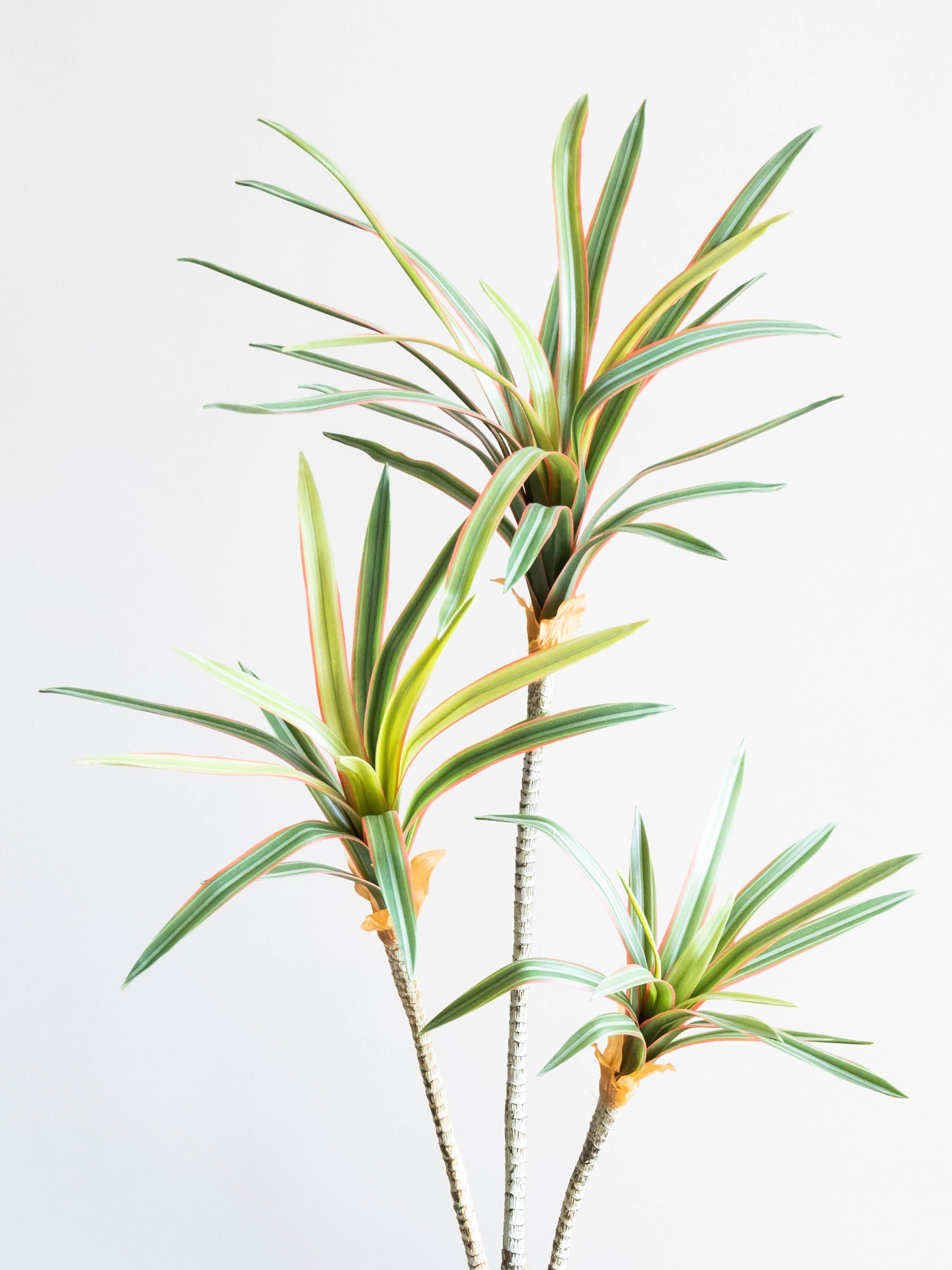 Artificial Dracaena Trio Plant 2.3ft