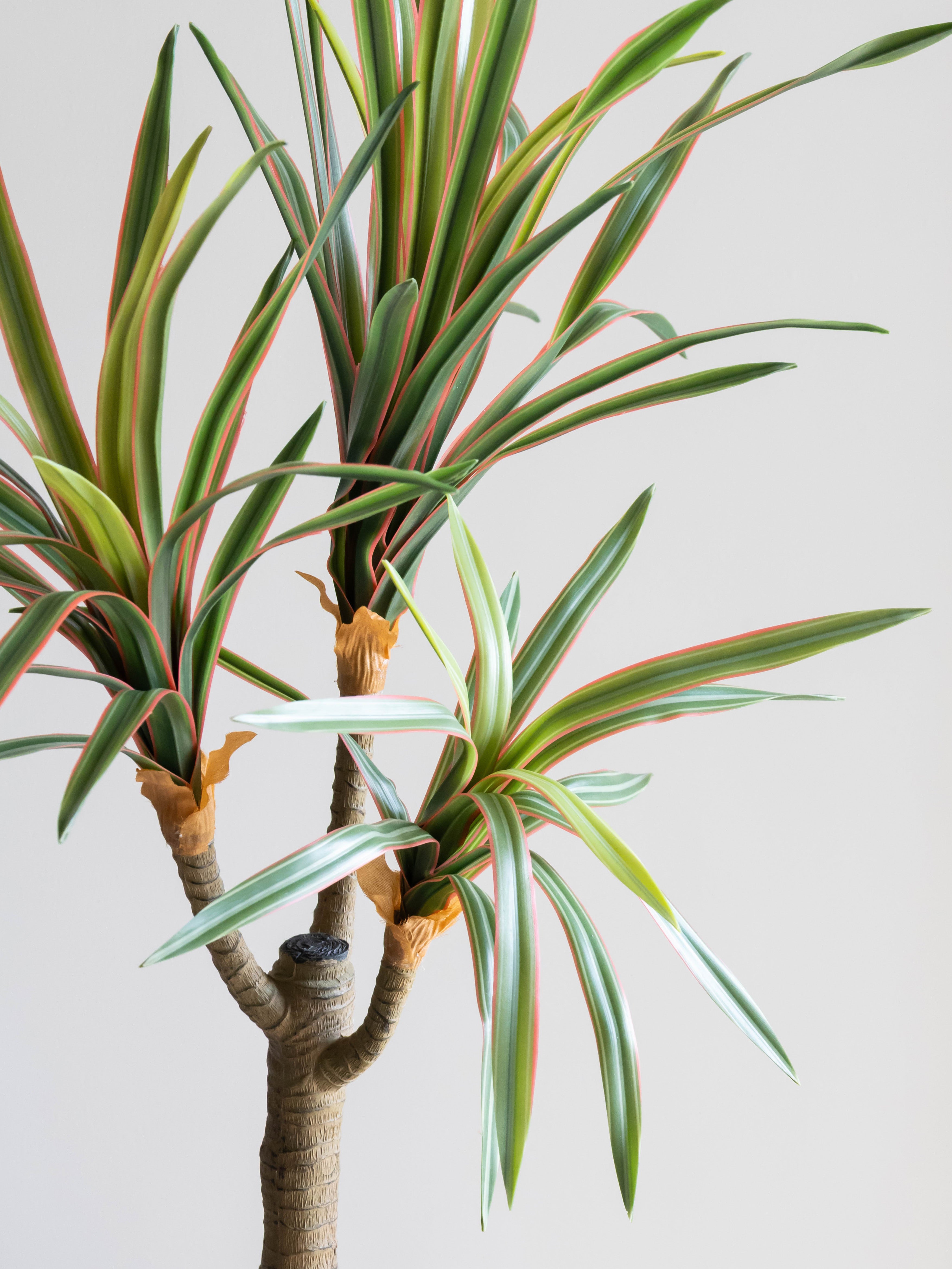 Artificial Dracaena Accent Plant 1.7ft