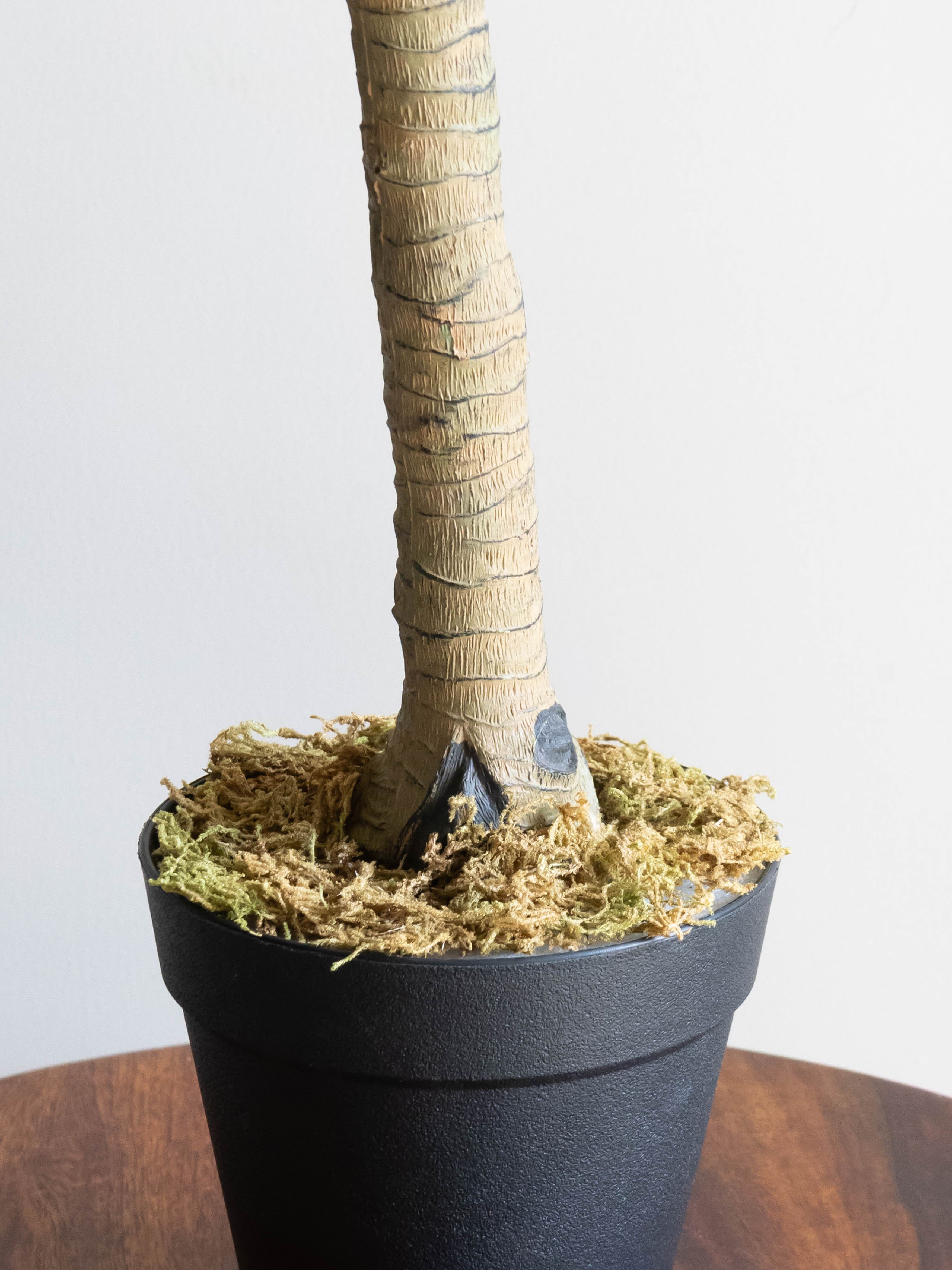 Artificial Dracaena Accent Plant 1.7ft