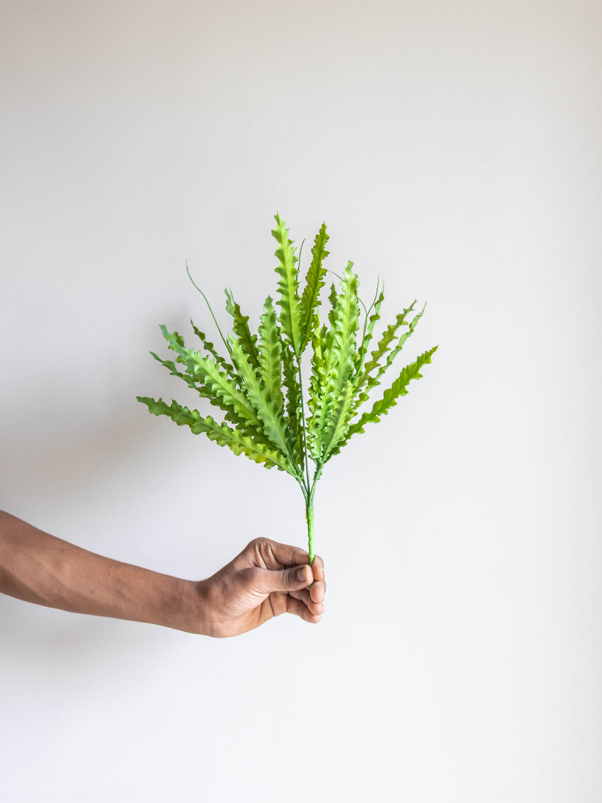 Artificial Ruffled Green Bunch 1.5ft