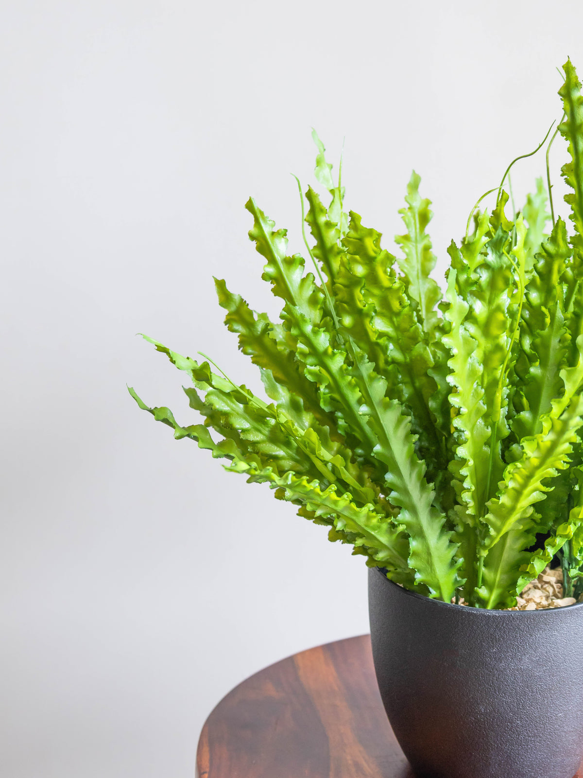 Artificial Ruffled Green Bunch 1.5ft