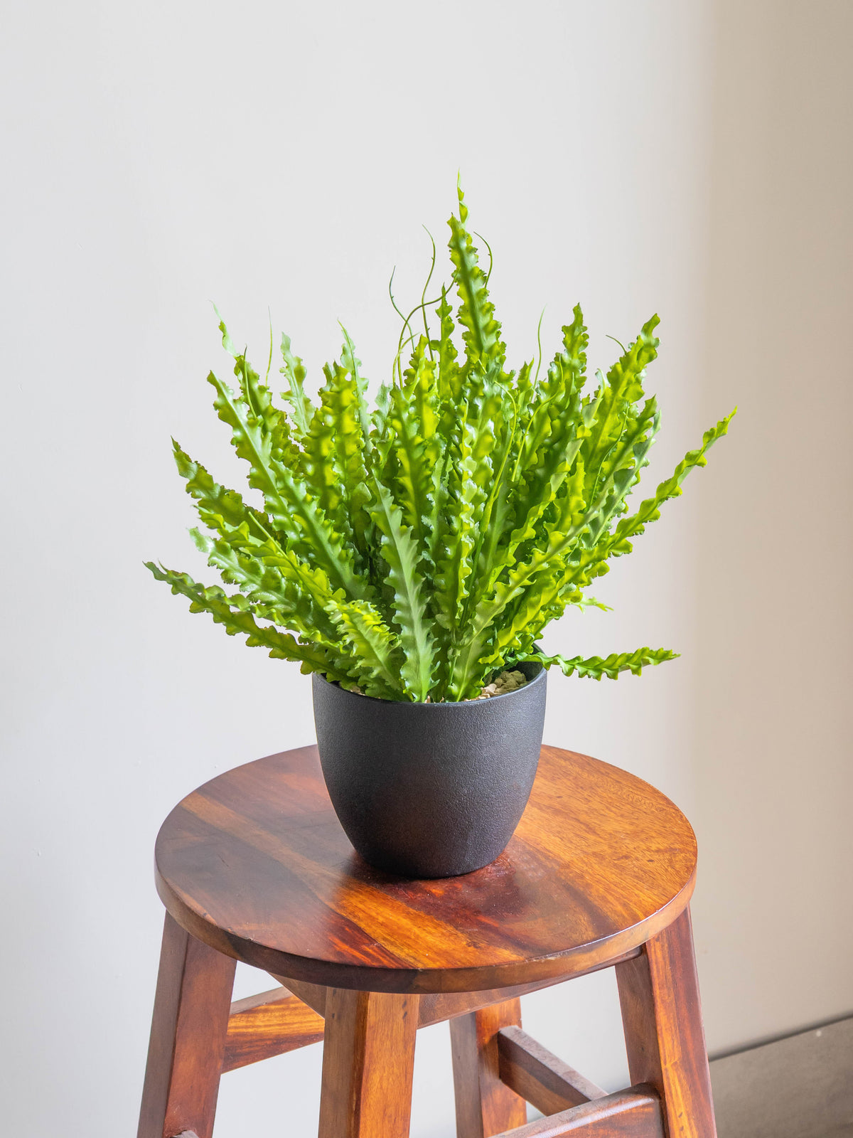 Artificial Ruffled Green Bunch 1.5ft