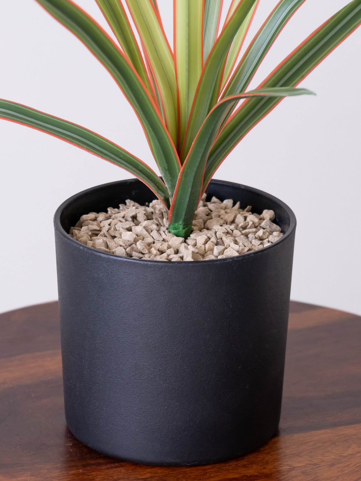 Artificial Coral Grace Dracaena Plant 1.5ft