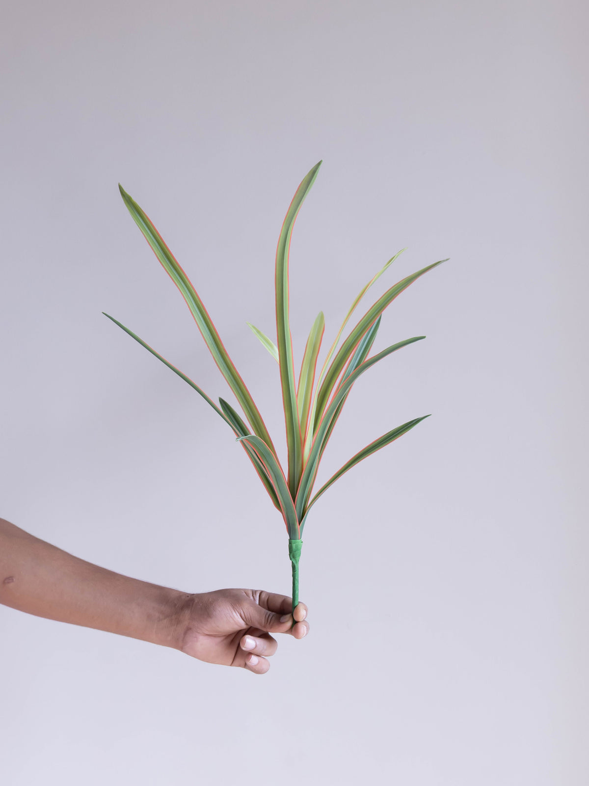 Artificial Coral Grace Dracaena Plant 1.5ft