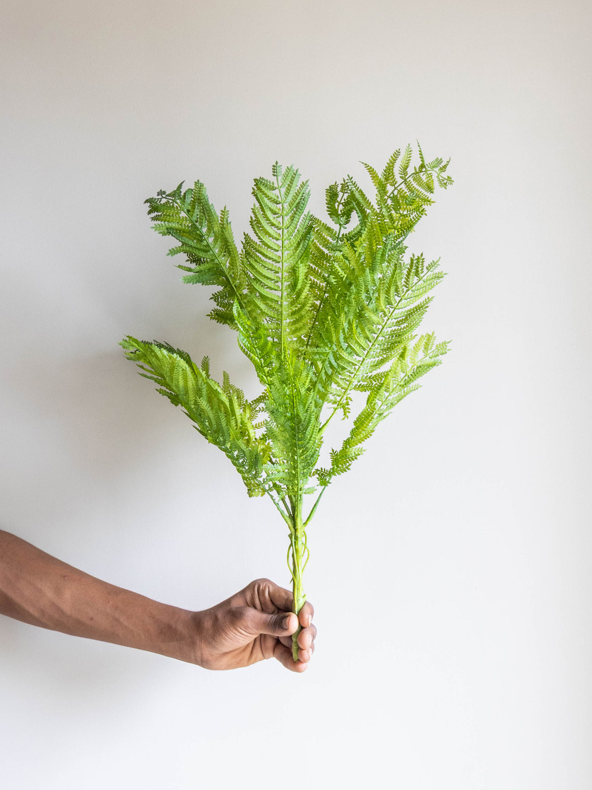 Artificial Fernveil Foliage Plant 1.7ft