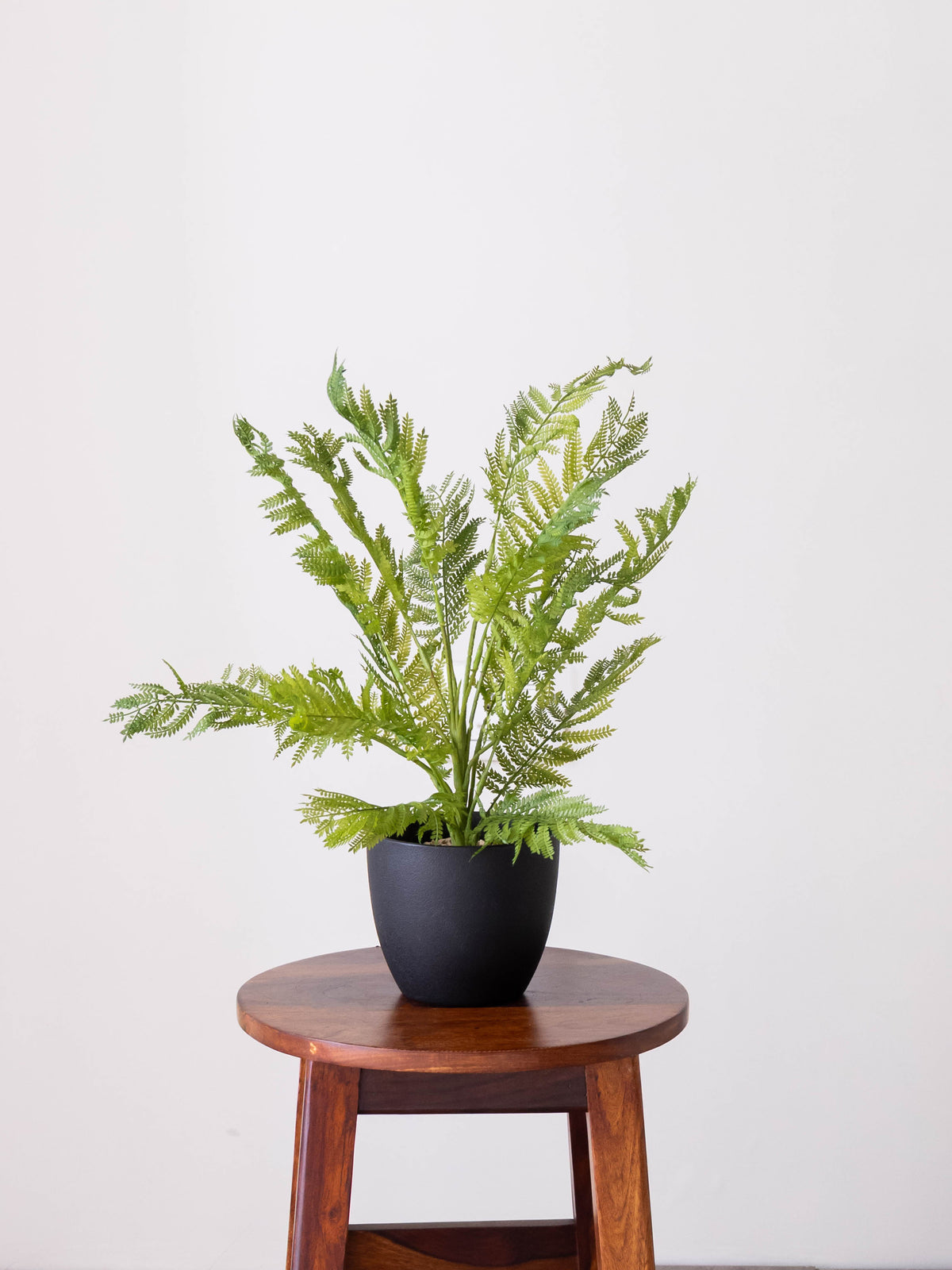 Artificial Fernveil Foliage Plant 1.7ft