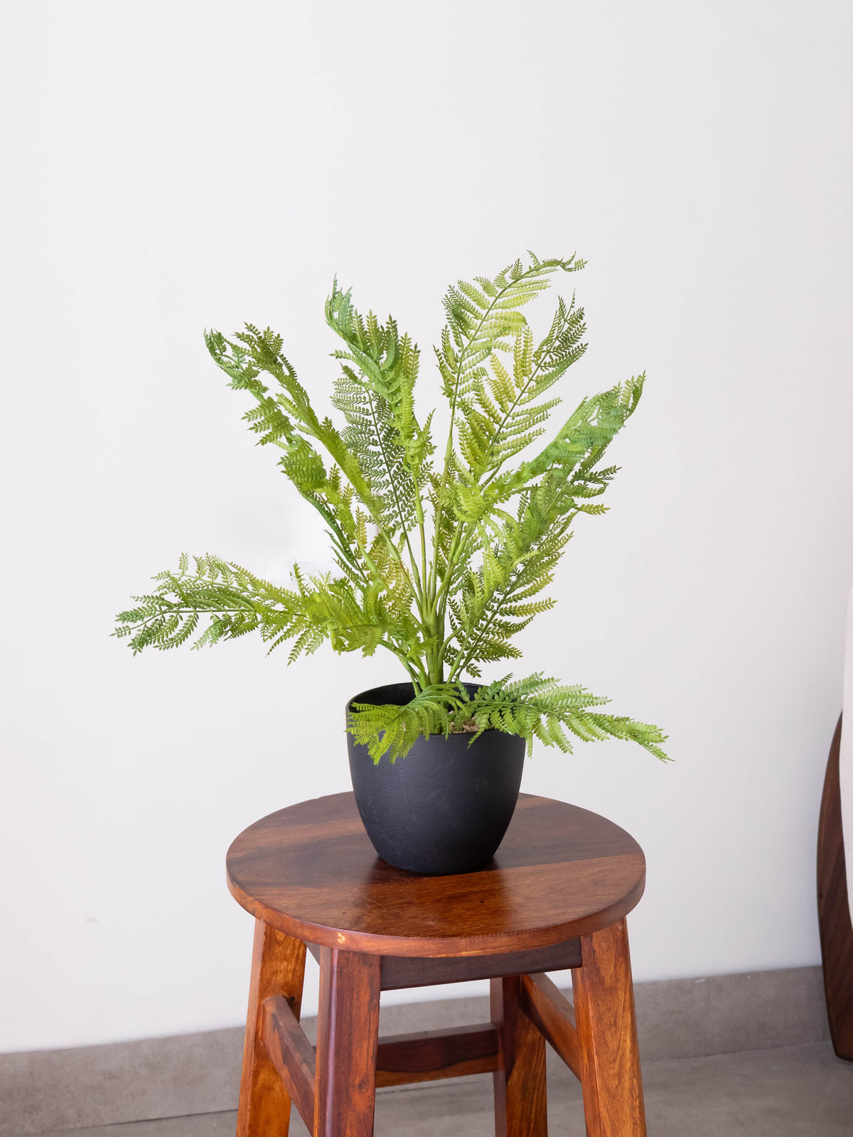 Artificial Fernveil Foliage Plant 1.7ft