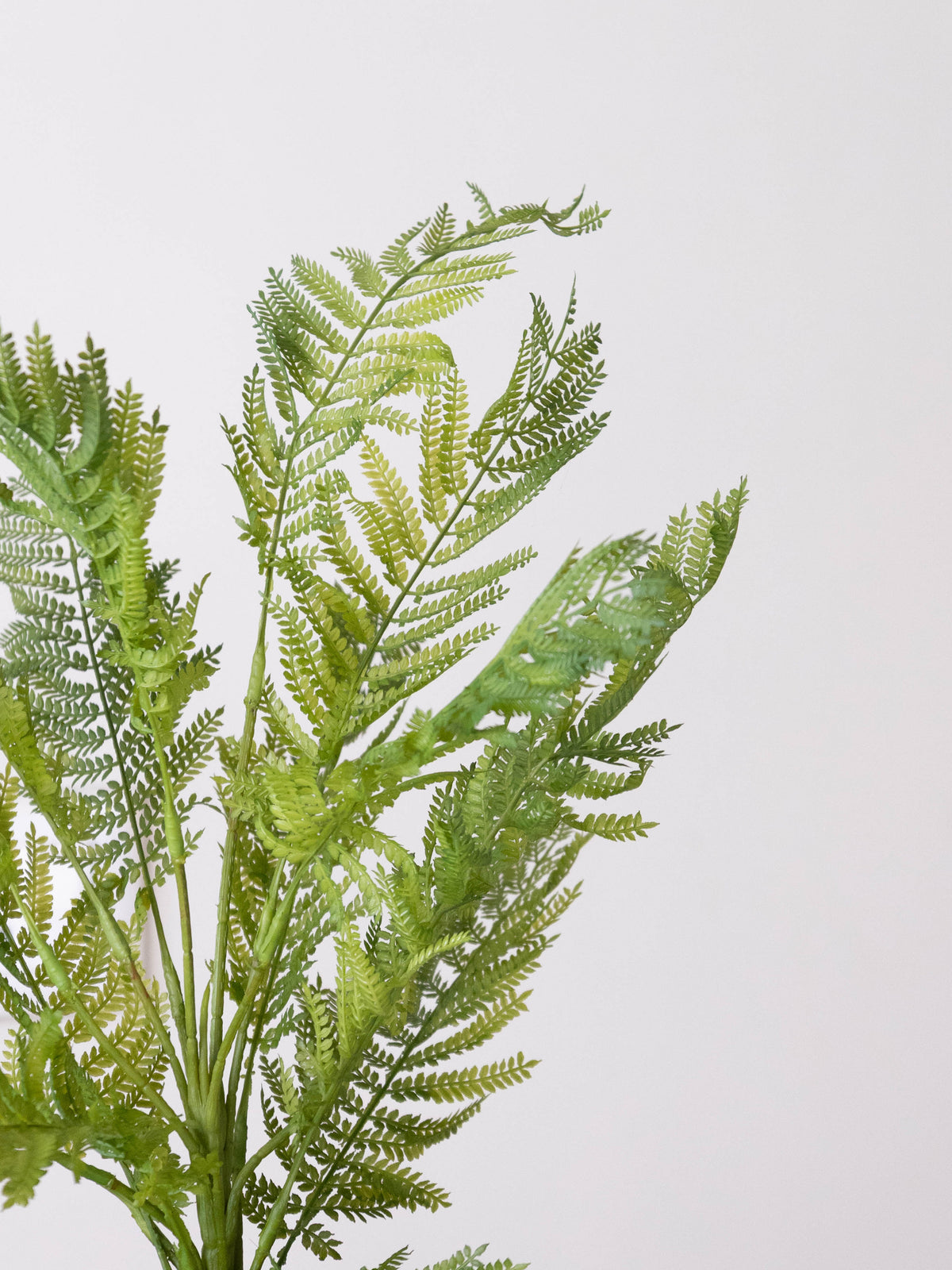 Artificial Fernveil Foliage Plant 1.7ft