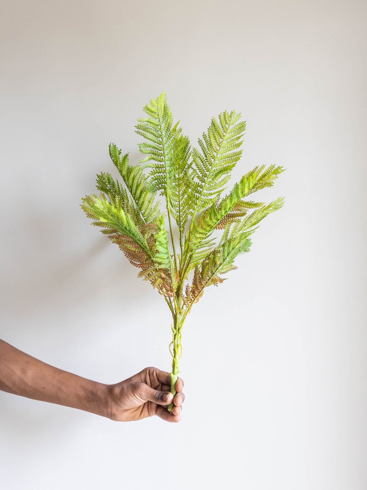 Artificial Fernveil Foliage Plant 1.7ft