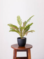 Artificial Fernveil Foliage Plant 1.7ft