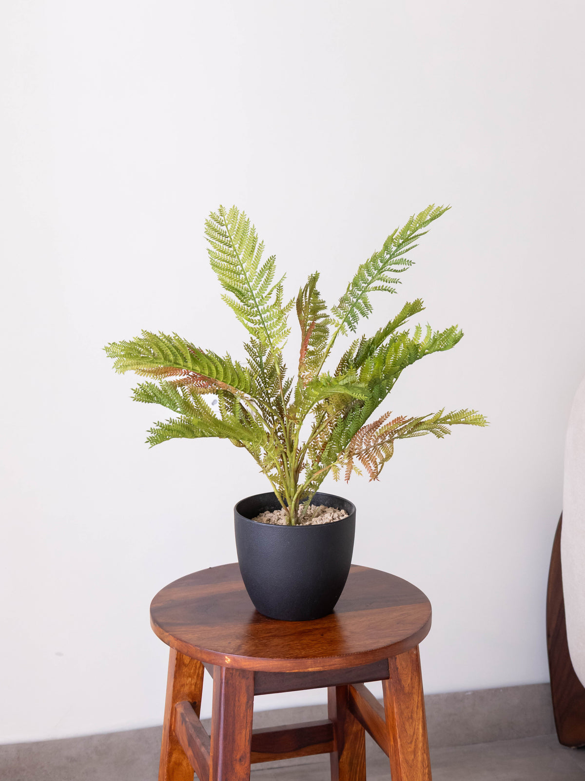 Artificial Fernveil Foliage Plant 1.7ft