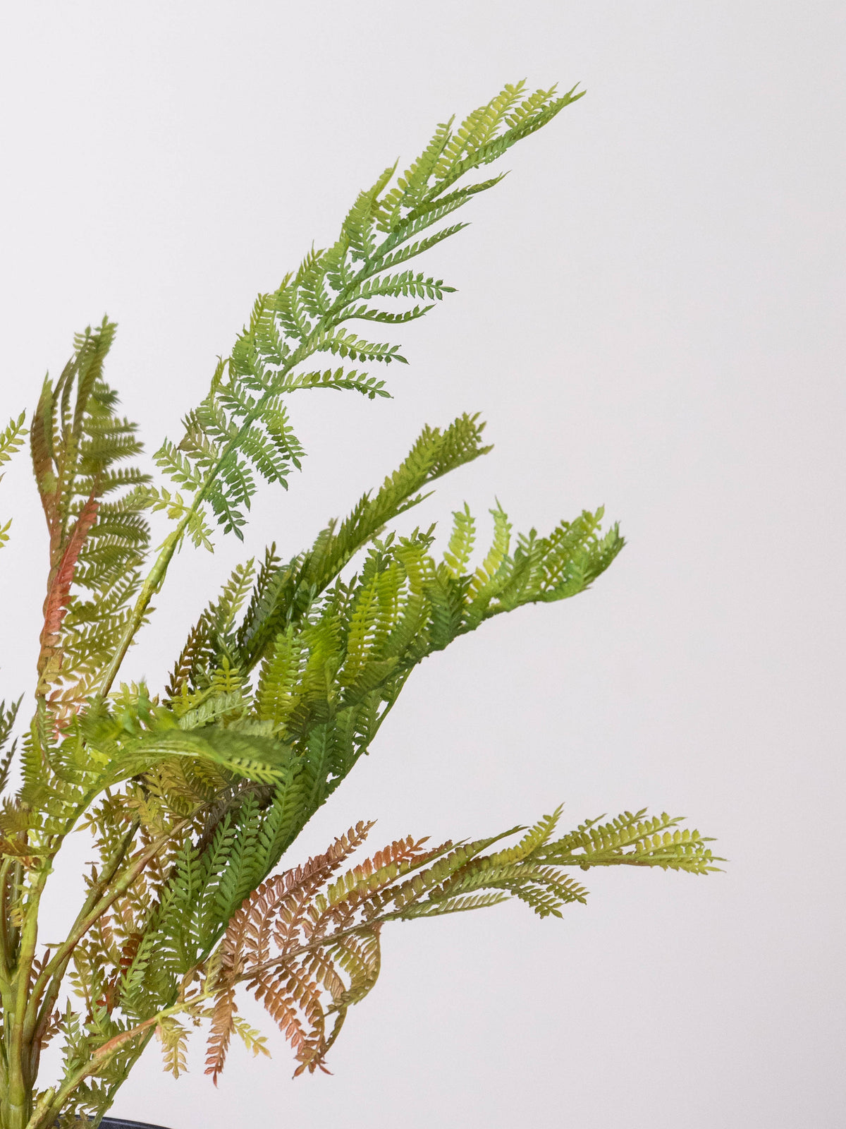 Artificial Fernveil Foliage Plant 1.7ft