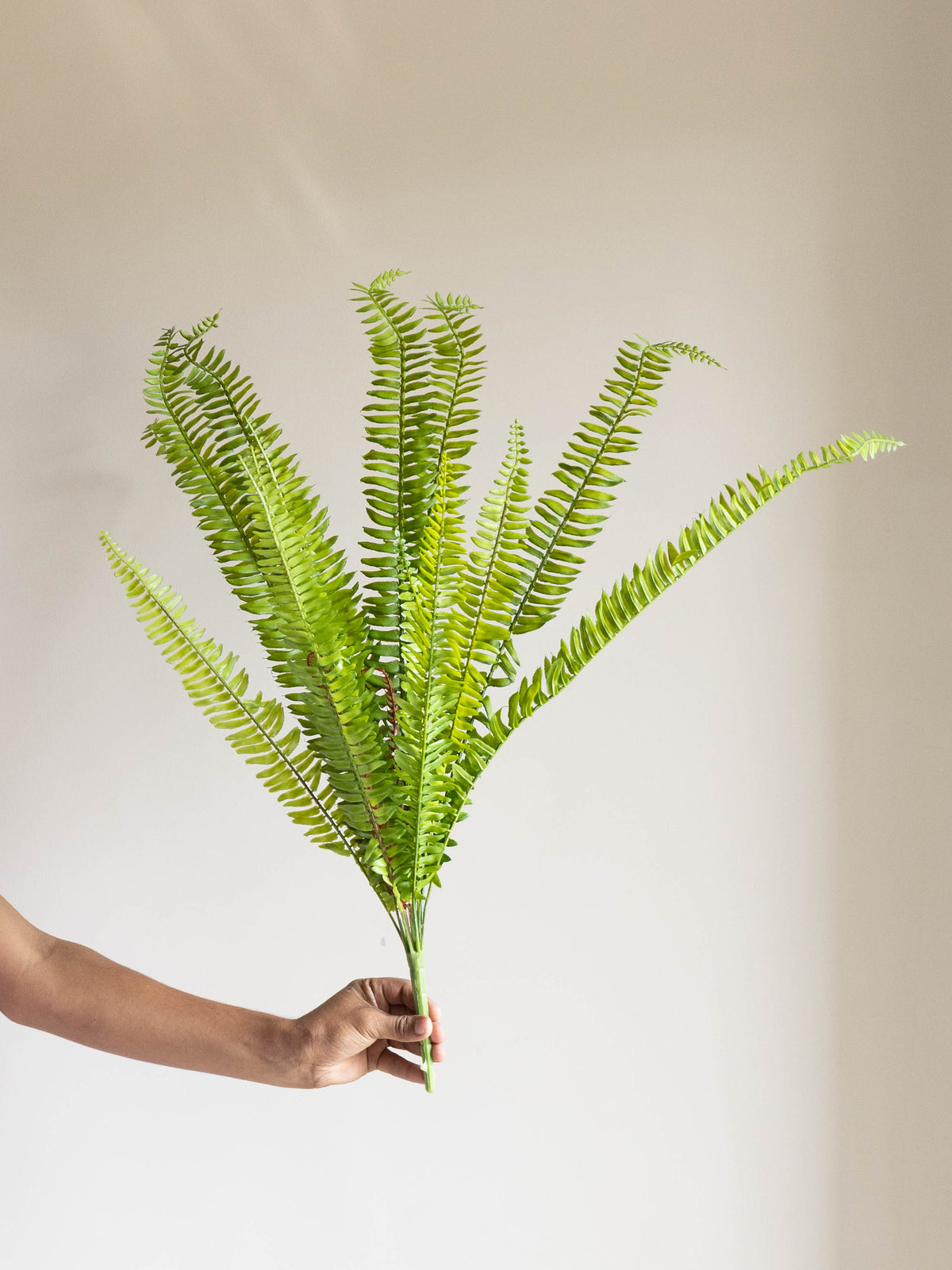 Artificial Fern Reverie Bunch 1.7ft